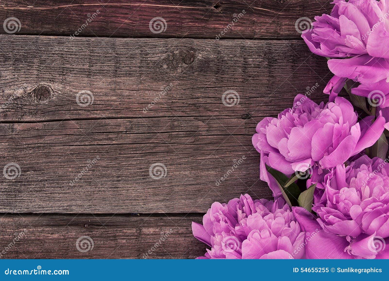 Pink Peony Flower On Dark Rustic Wooden Background With ...