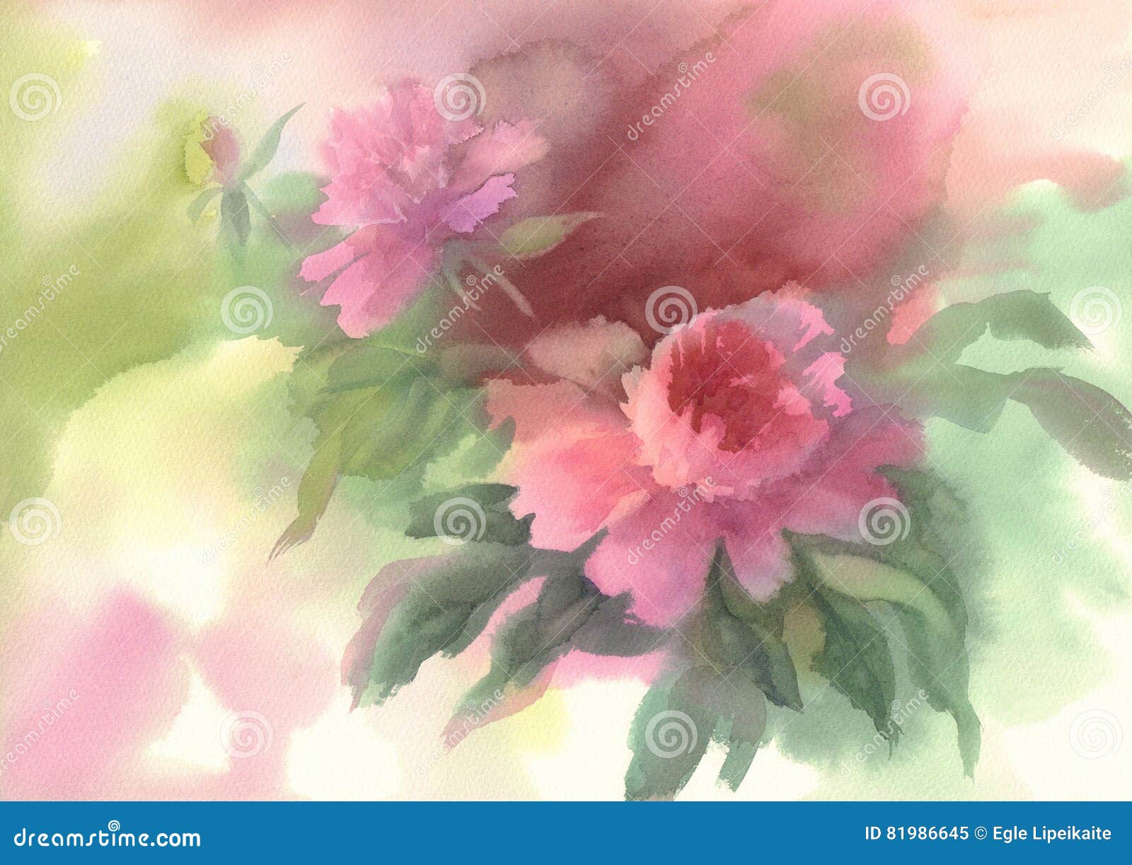 Pink peony watercolor stock illustration. Illustration of bunch - 81986645