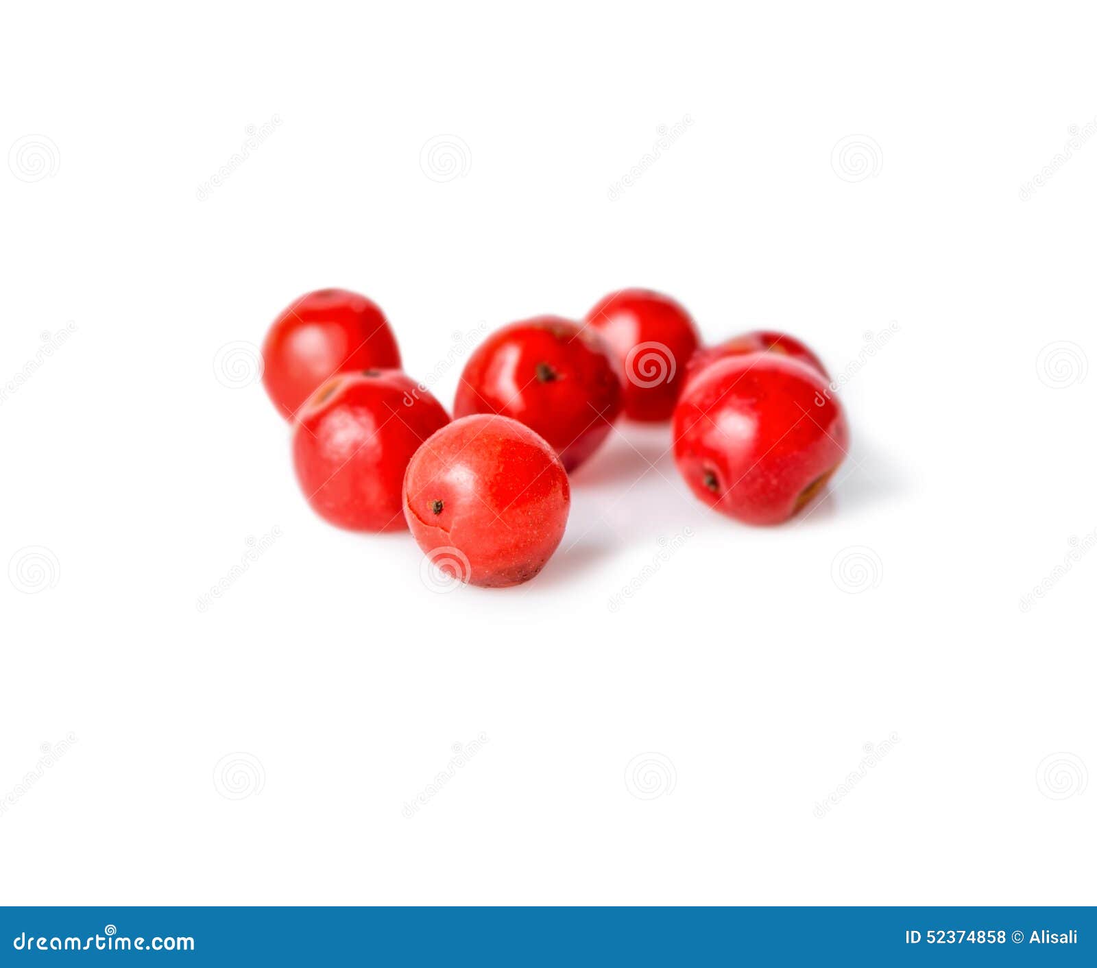 Pink Pepper is Isolated on White Background Stock Photo Image of