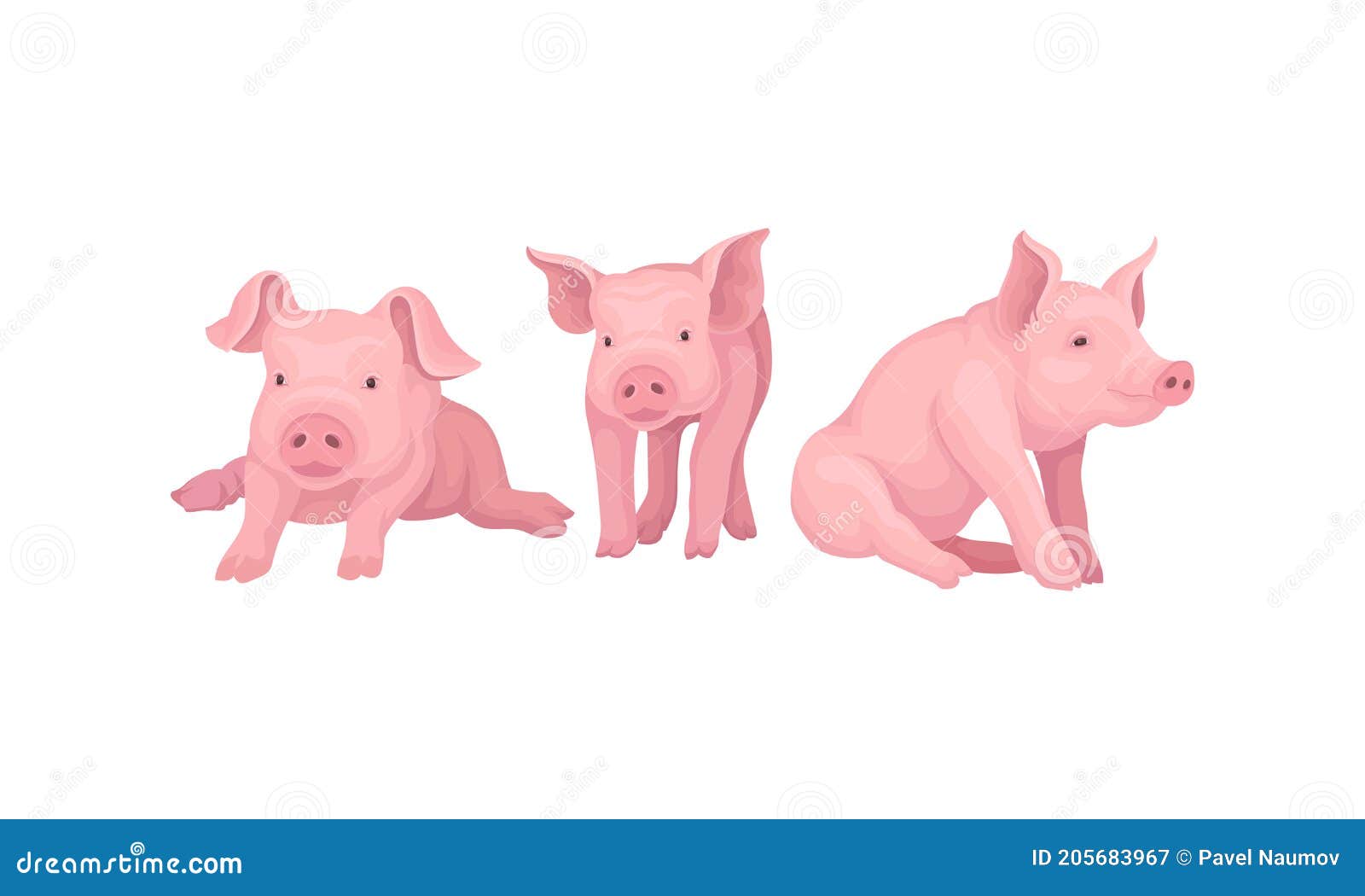 pink pig as even-toed ungulate domestic animal in different poses  set