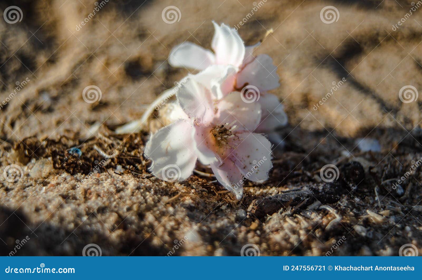 Pink Plastic Flowers are Plastic Waste Washed by the Sea Stock Image