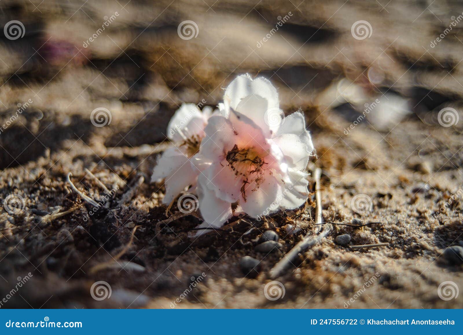 Pink Plastic Flowers are Plastic Waste Washed by the Sea Stock Photo