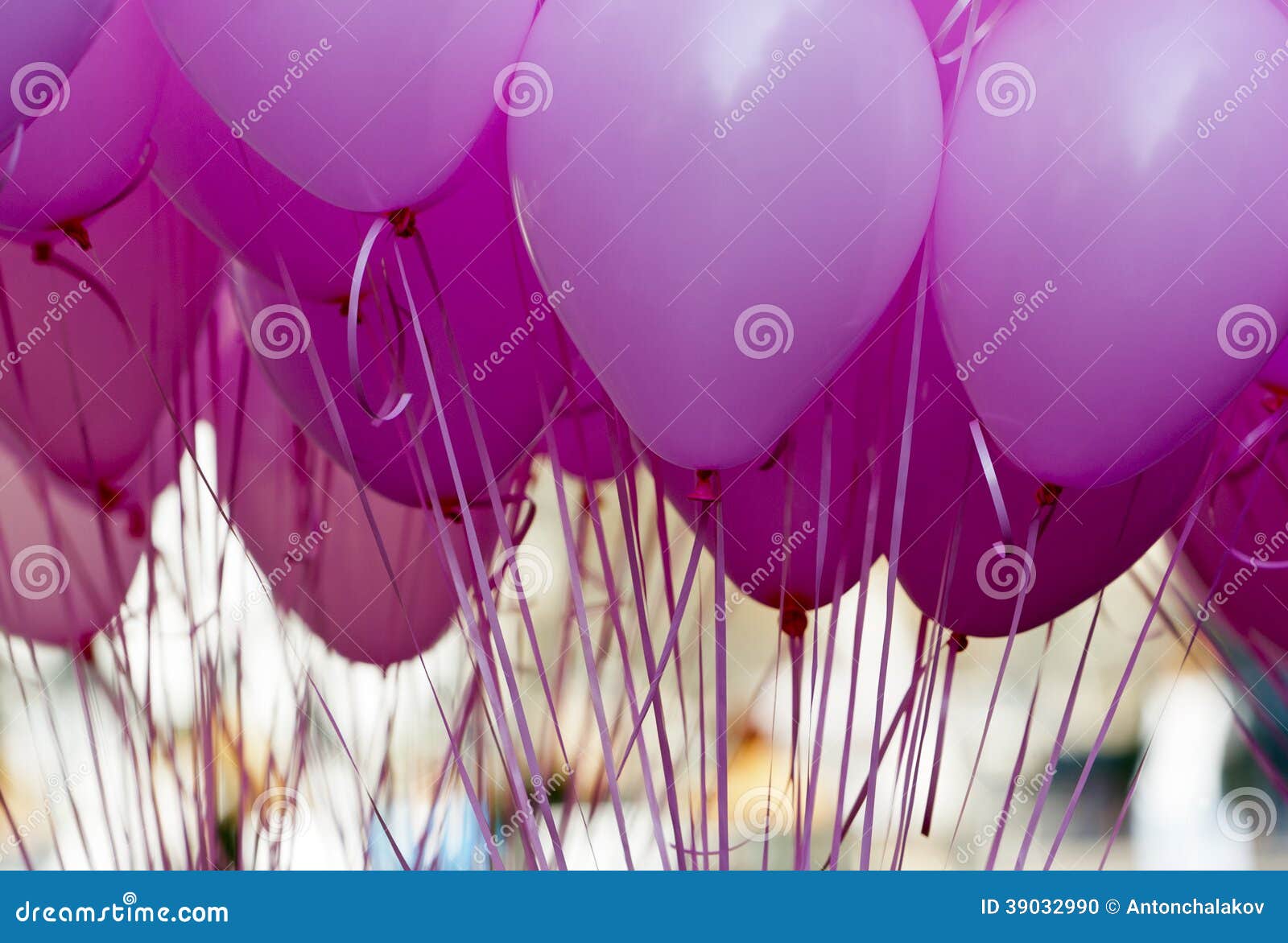 Pink Purple Ballons stock photo. Image of holiday, bunch - 39032990