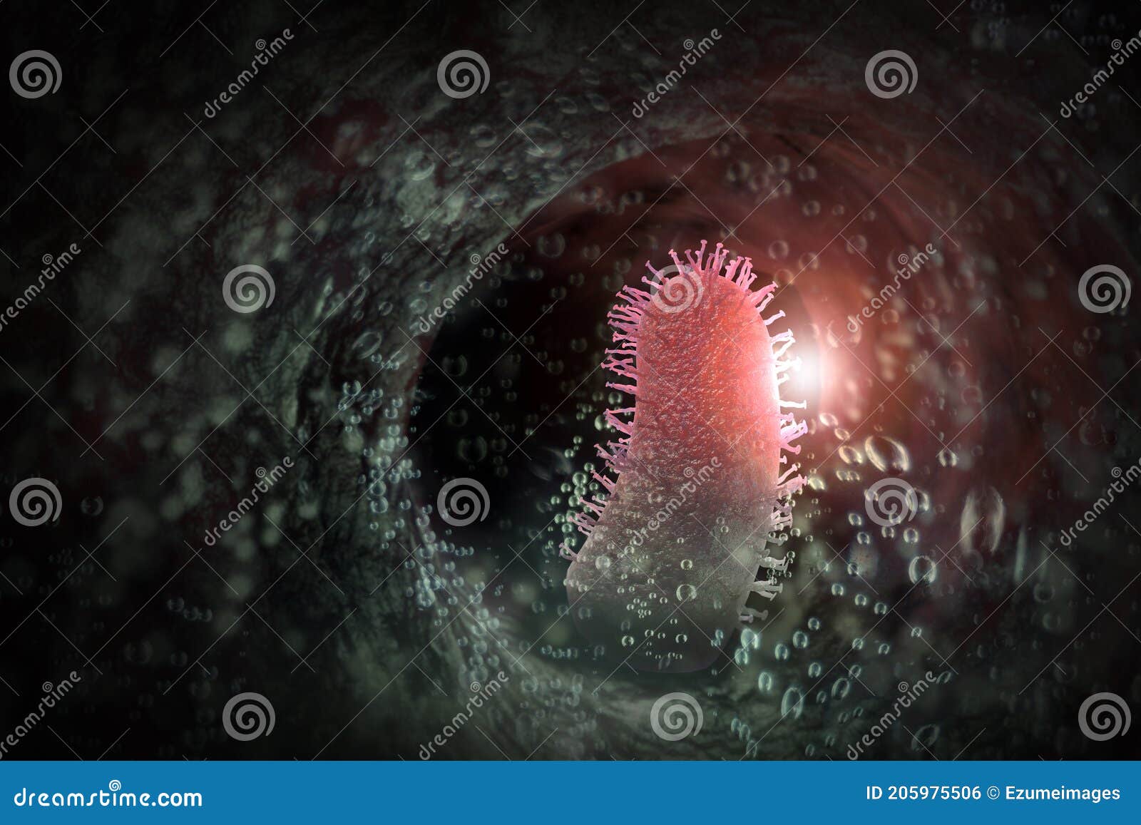 rabies virus 3d 