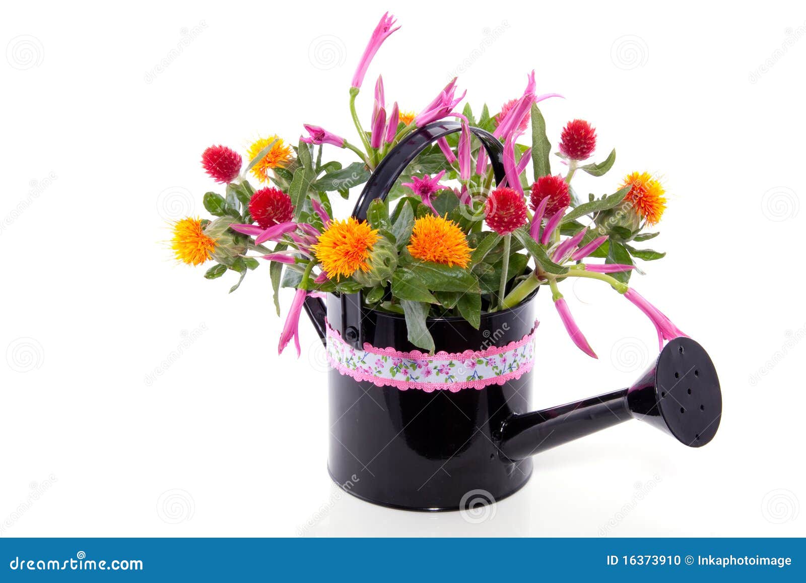 Pink Red Orange Flower Bouquet Stock Photo Image of home, gomphrena