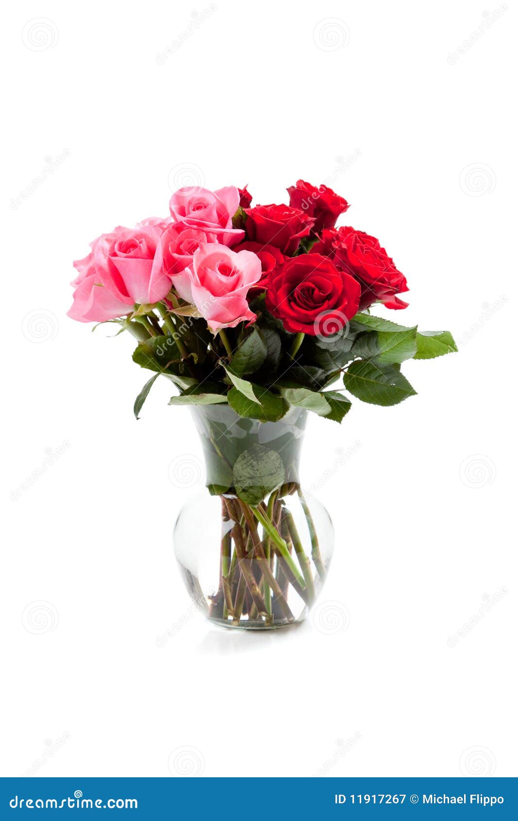 Pink and Red Roses in a Clear Vase on White Stock Image - Image of ...