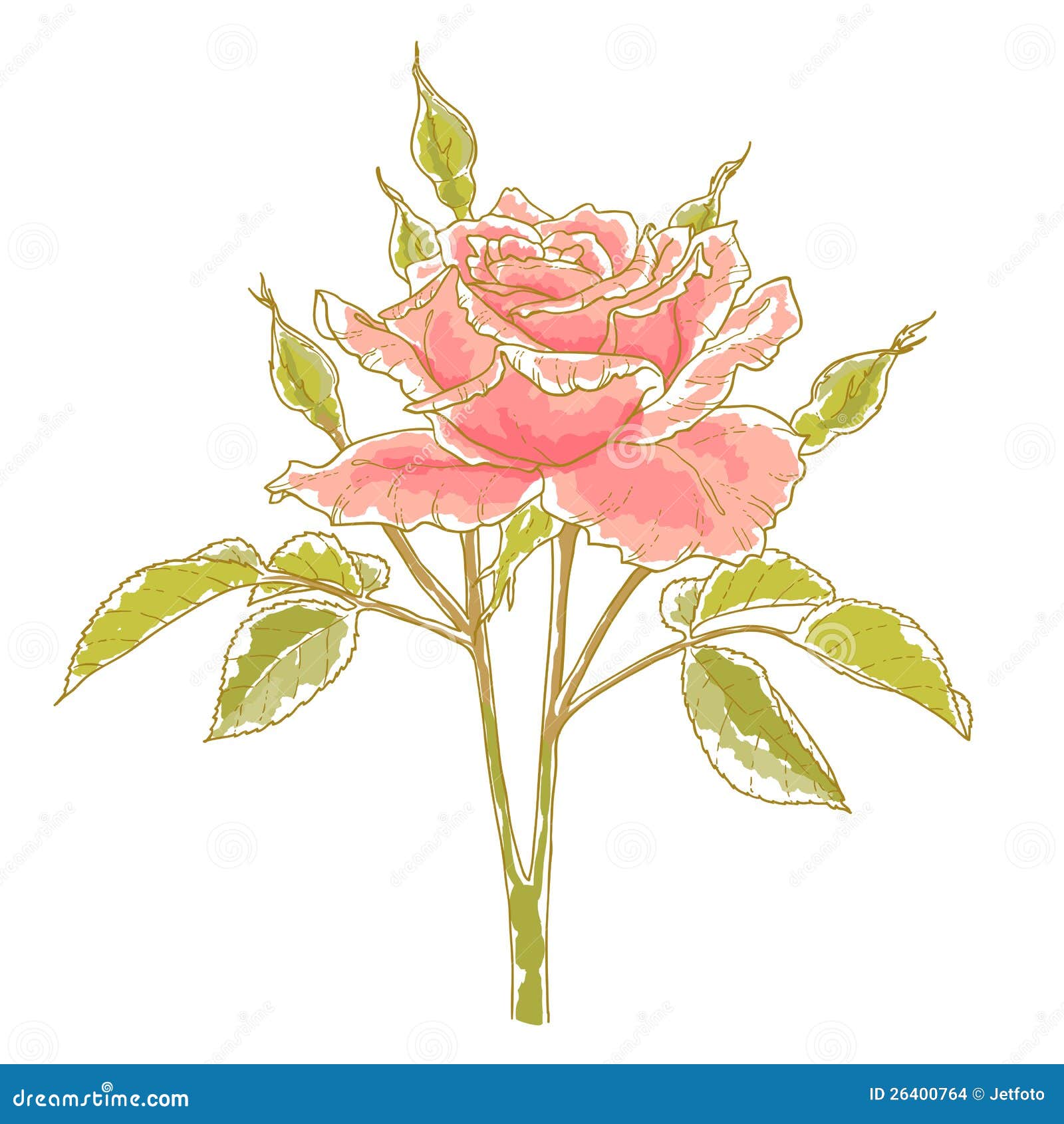 Pink rose stock vector. Illustration of brush, drawing - 26400764