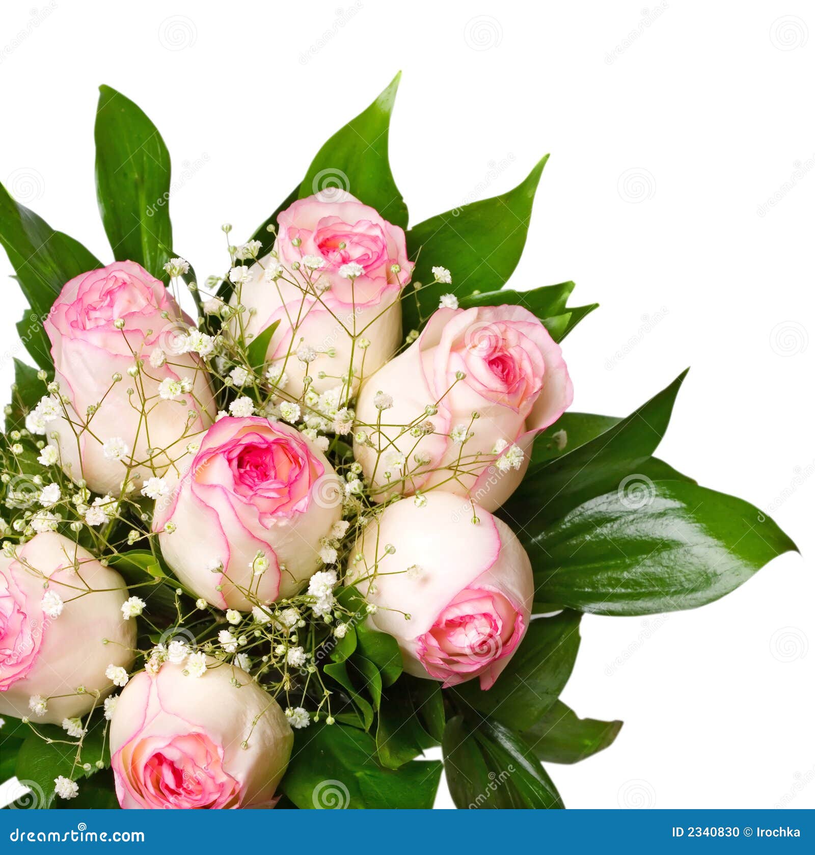 Pink Rose Bouquet stock photo. Image of flora, decorated 2340830