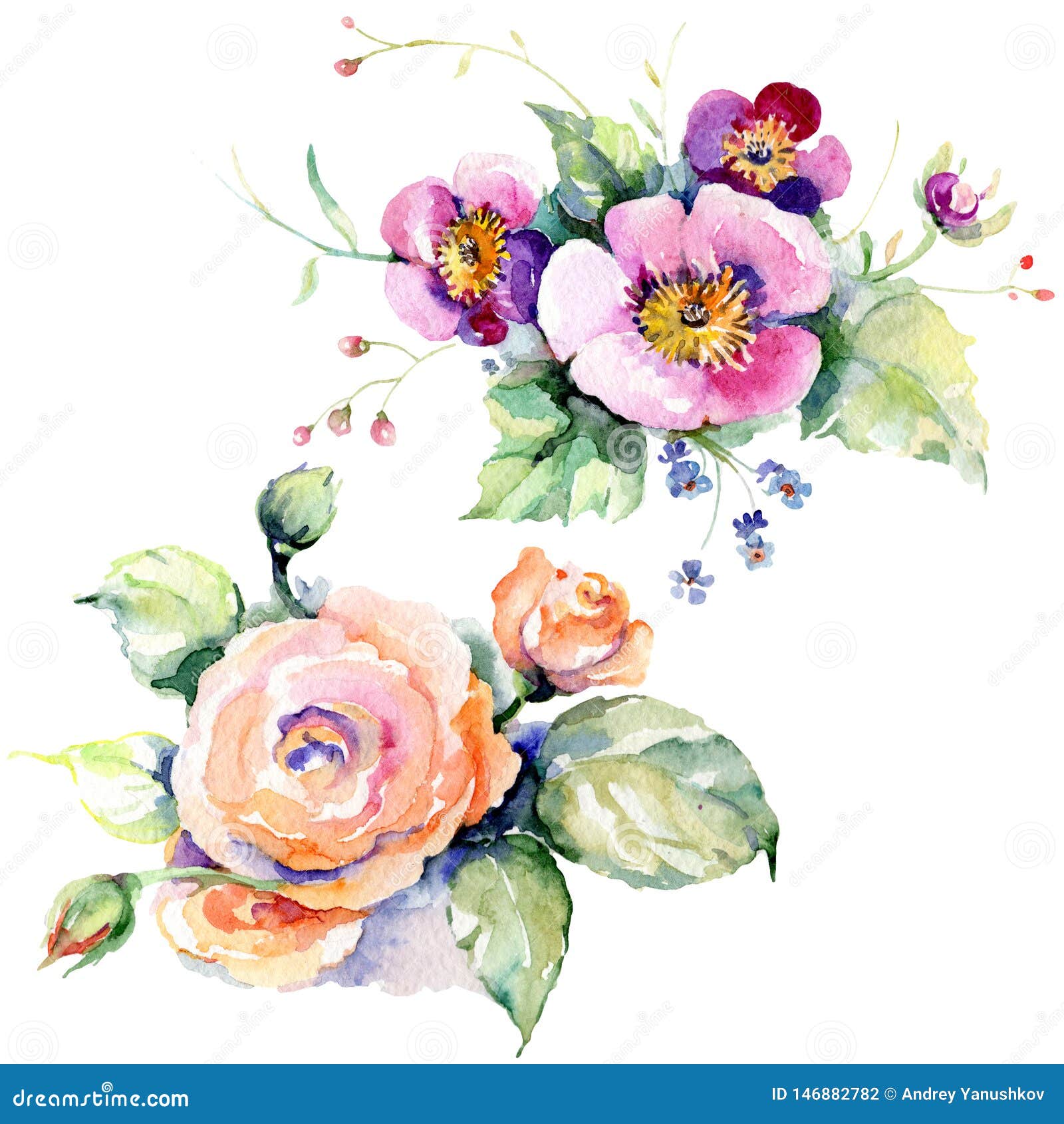 Download Pink Rose Bouquet Loral Botanical Flowers. Watercolor ...