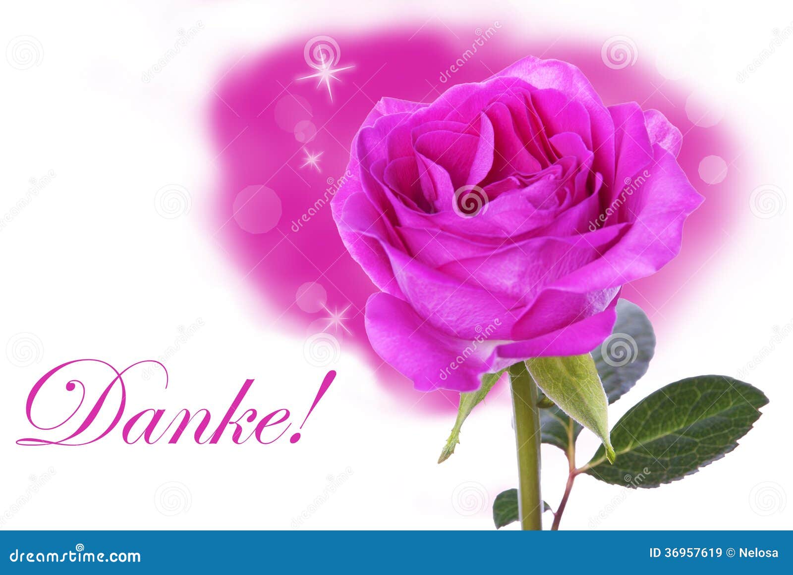 Pink Rose With Danke Royalty Free Stock Images - Image: 369576191300 x 960