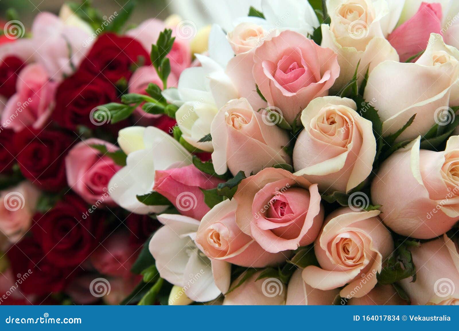 Pink Rose Flower Wedding Bouquet Stock Photo - Image of floral, white ...
