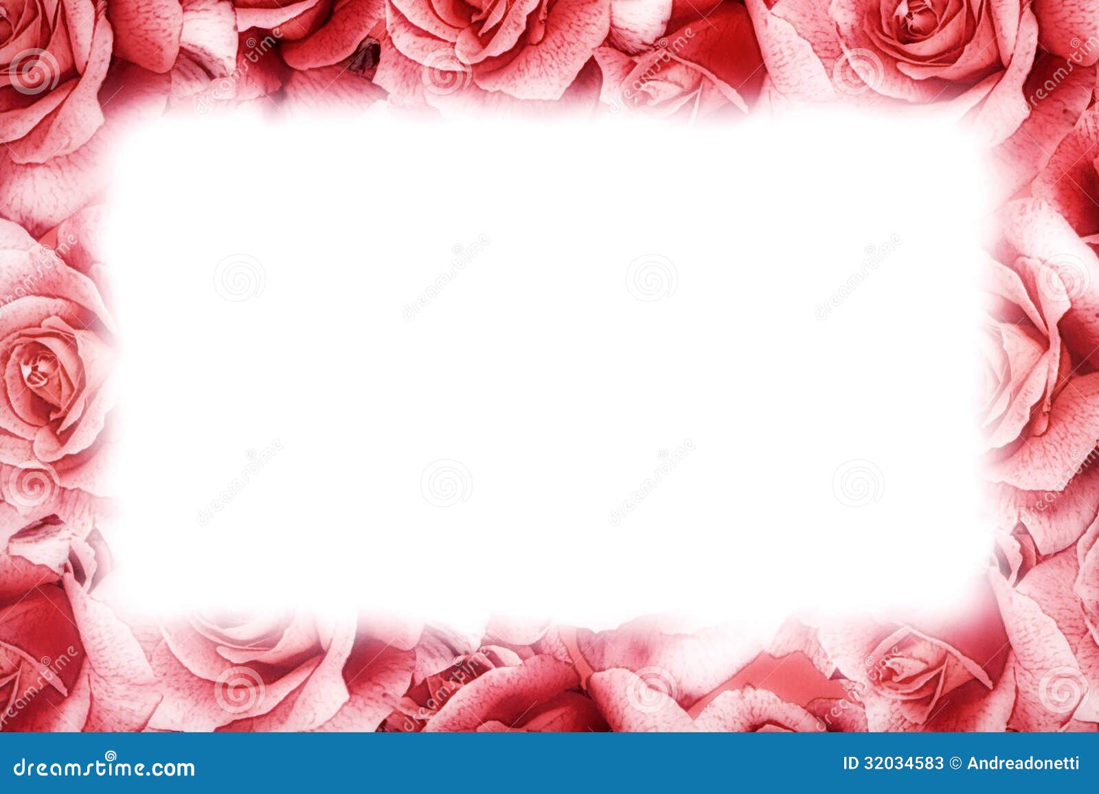 Pink Rose Frame Stock Photos - Image: 32034583