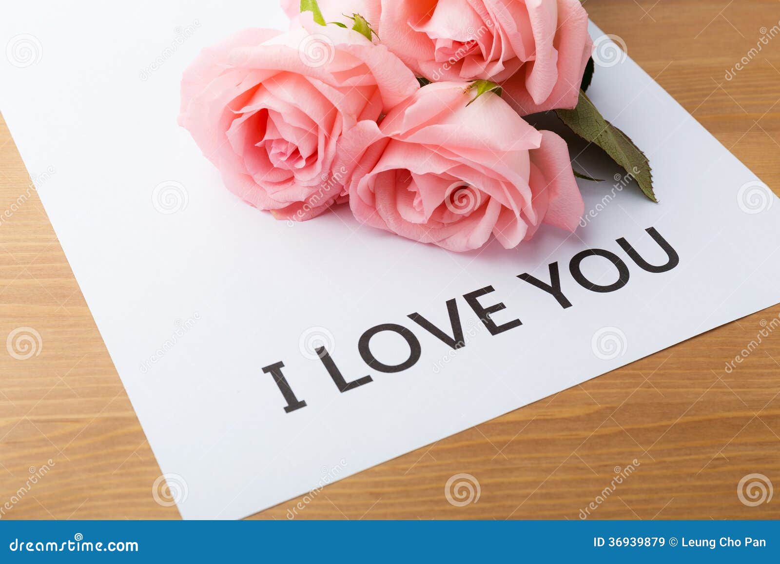 Pink Rose and Gift Card of Message I Love You Stock Image - Image ...