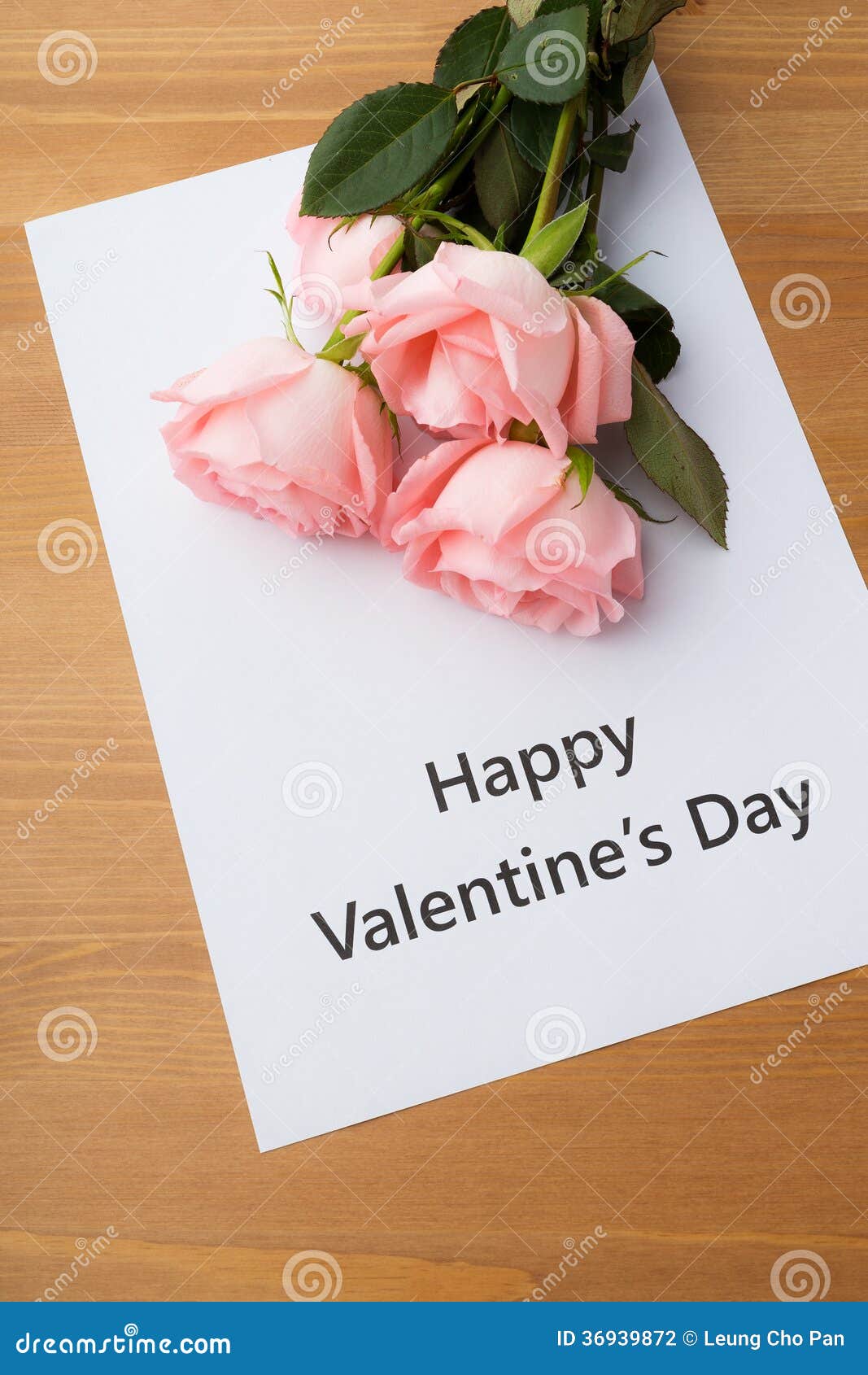 Pink Rose and Gift Card Message Stock Photo Image of february, paper 36939872