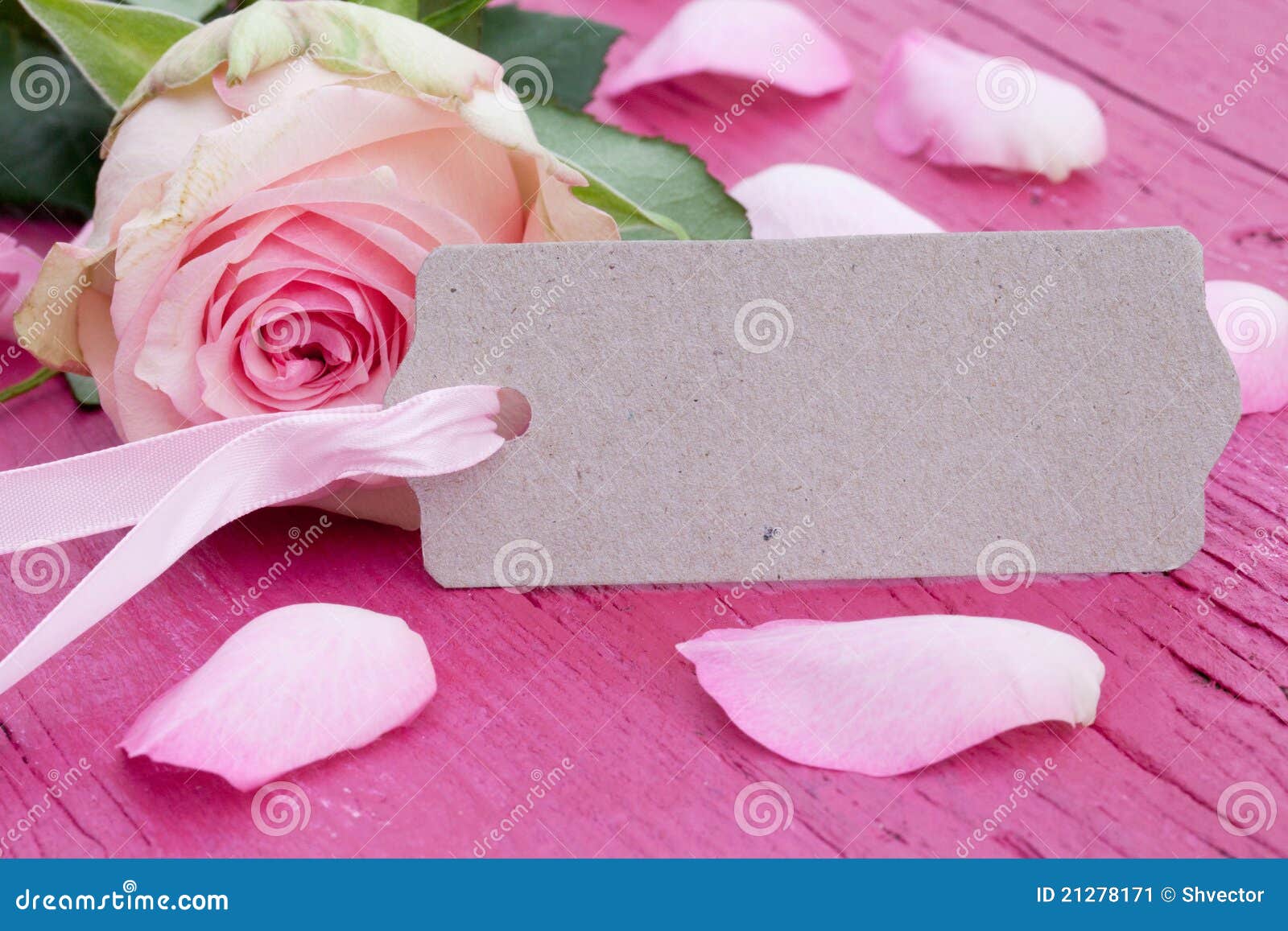 Pink rose with gift tag stock image. Image of paper, flower 21278171