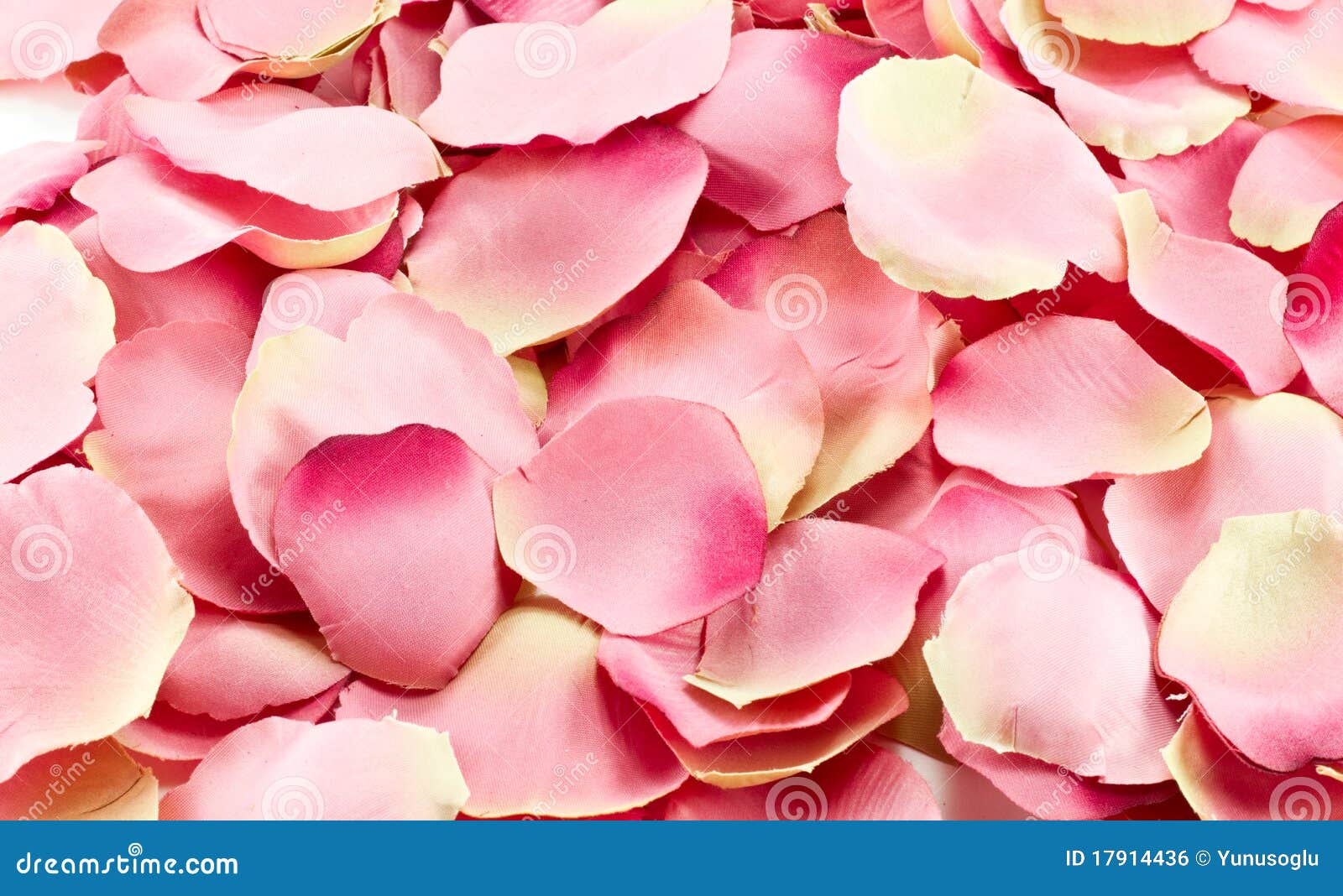 Pink rose petals stock photo. Image of mixture, colorful 17914436