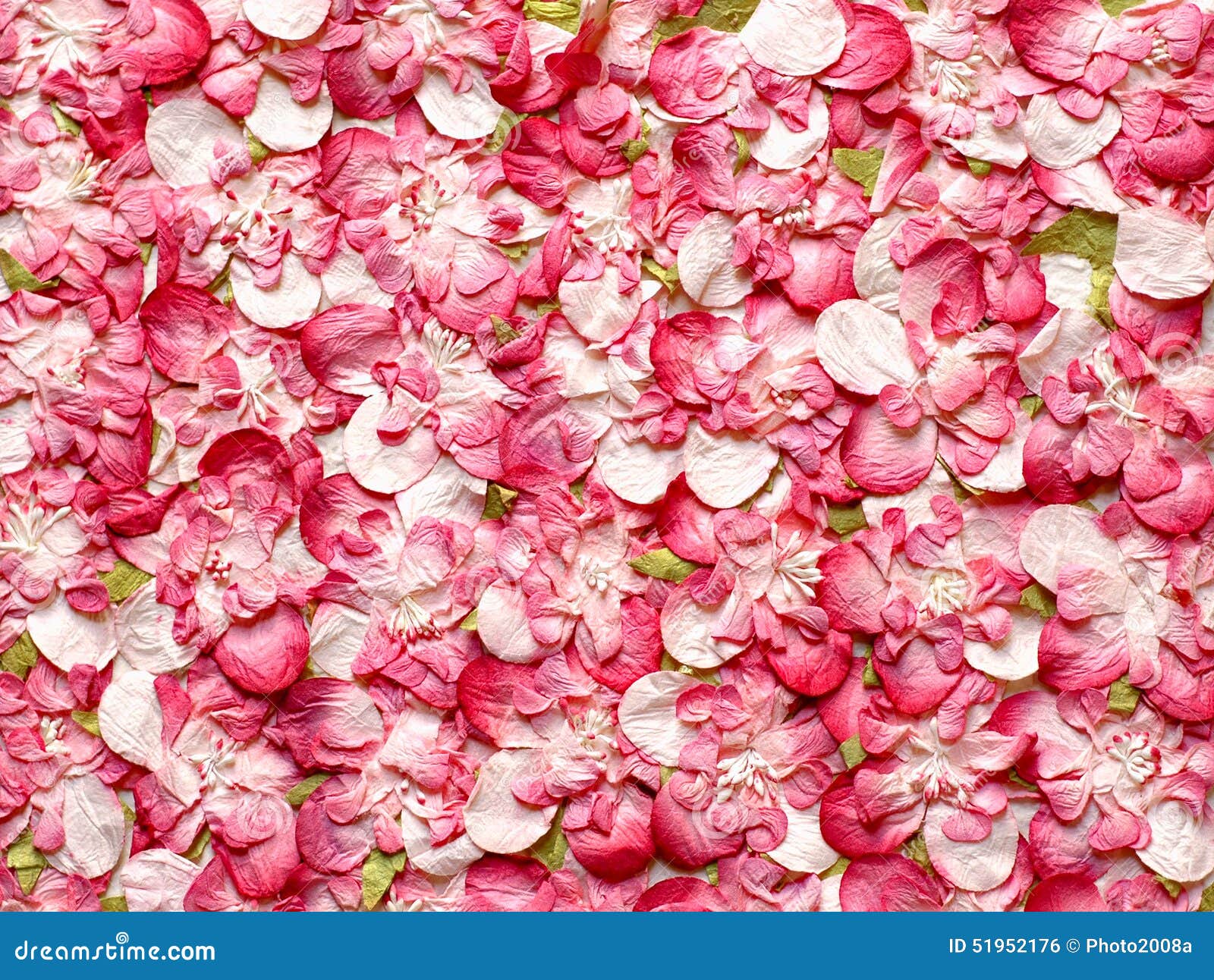 Pink Rose Petals Paper stock photo. Image of fibers, abstract 51952176