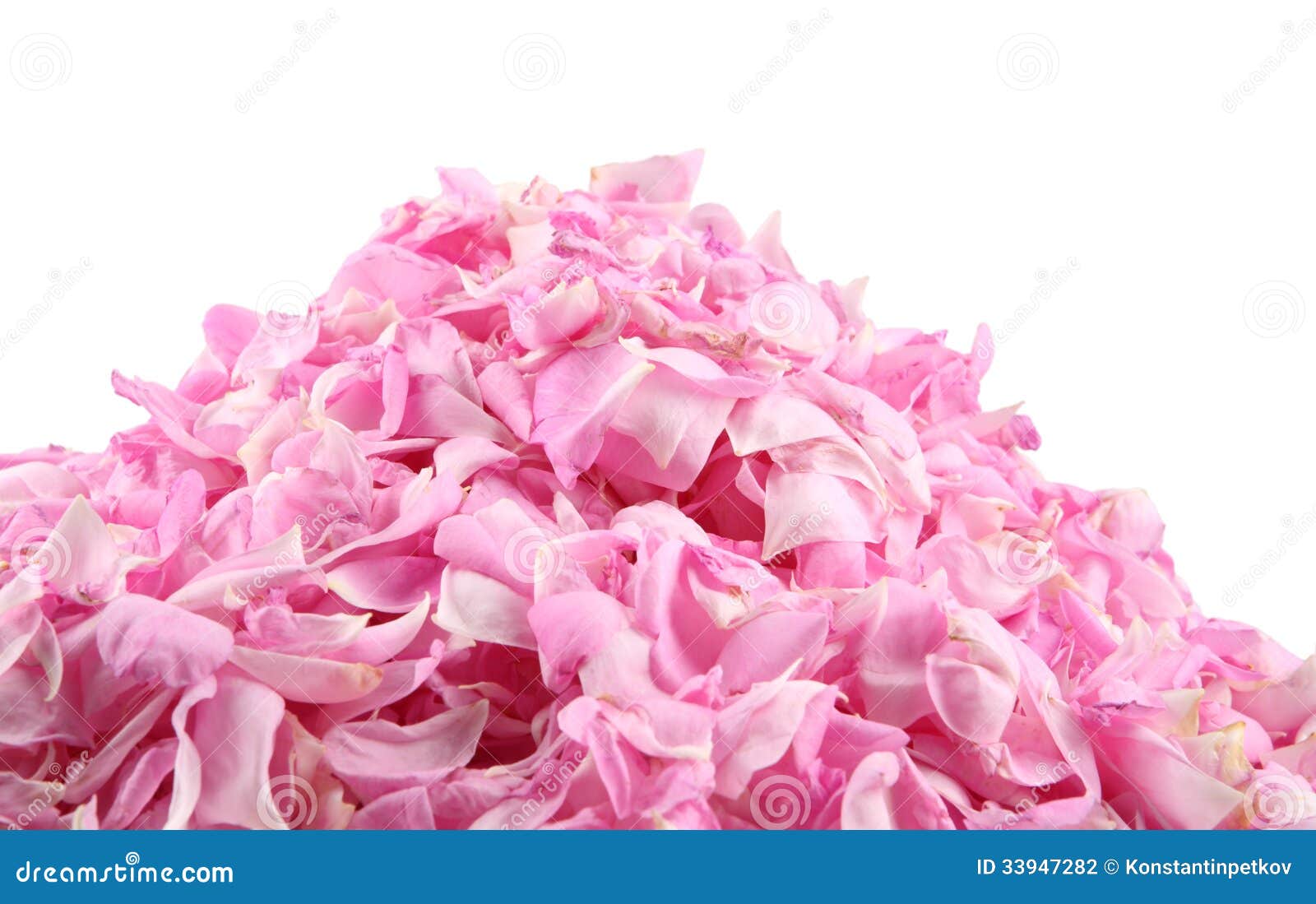 pink rose petals pile