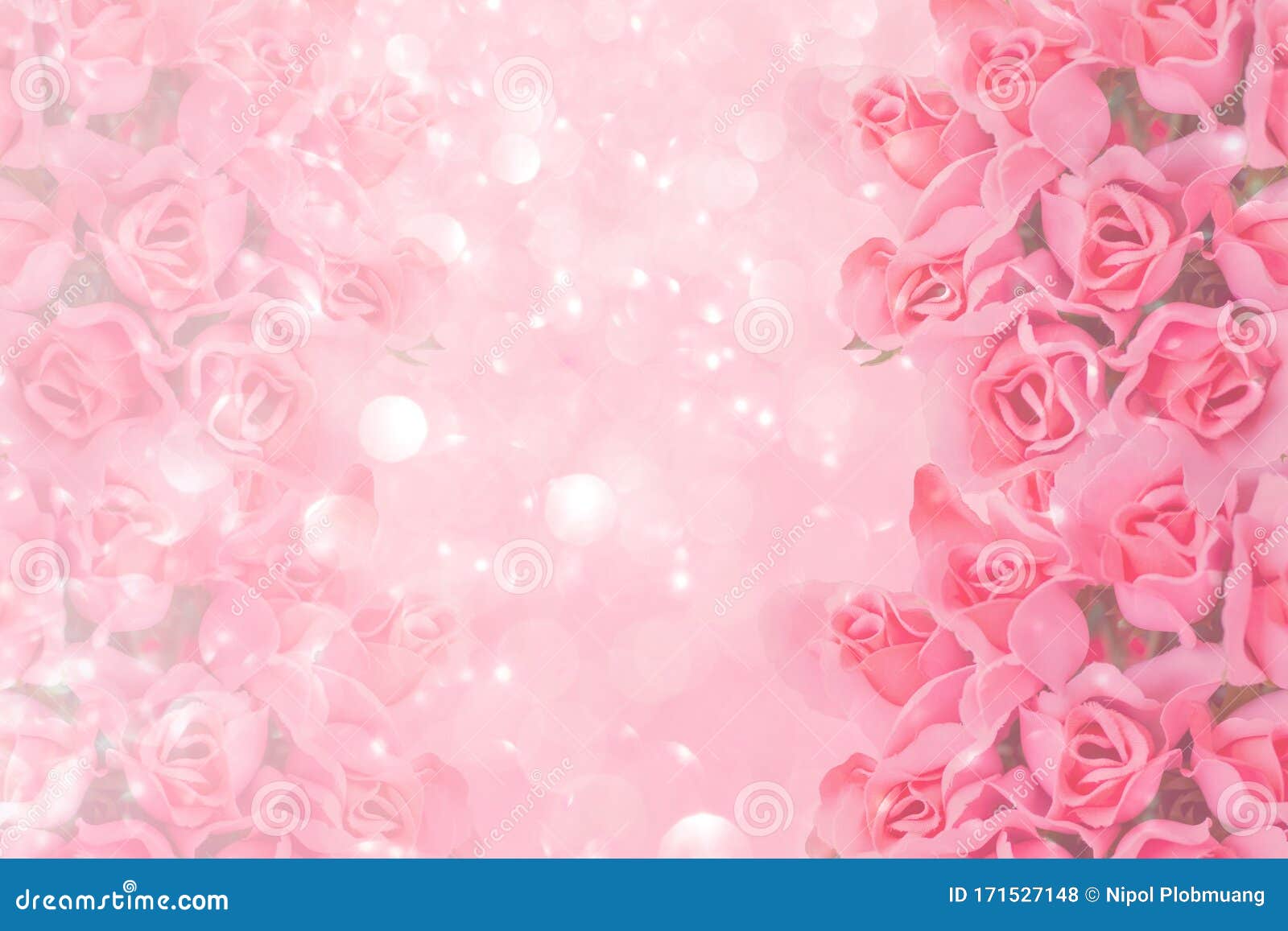 Pink Rose with Pink Shiny Glitter Background. Stock Photo - Image ...