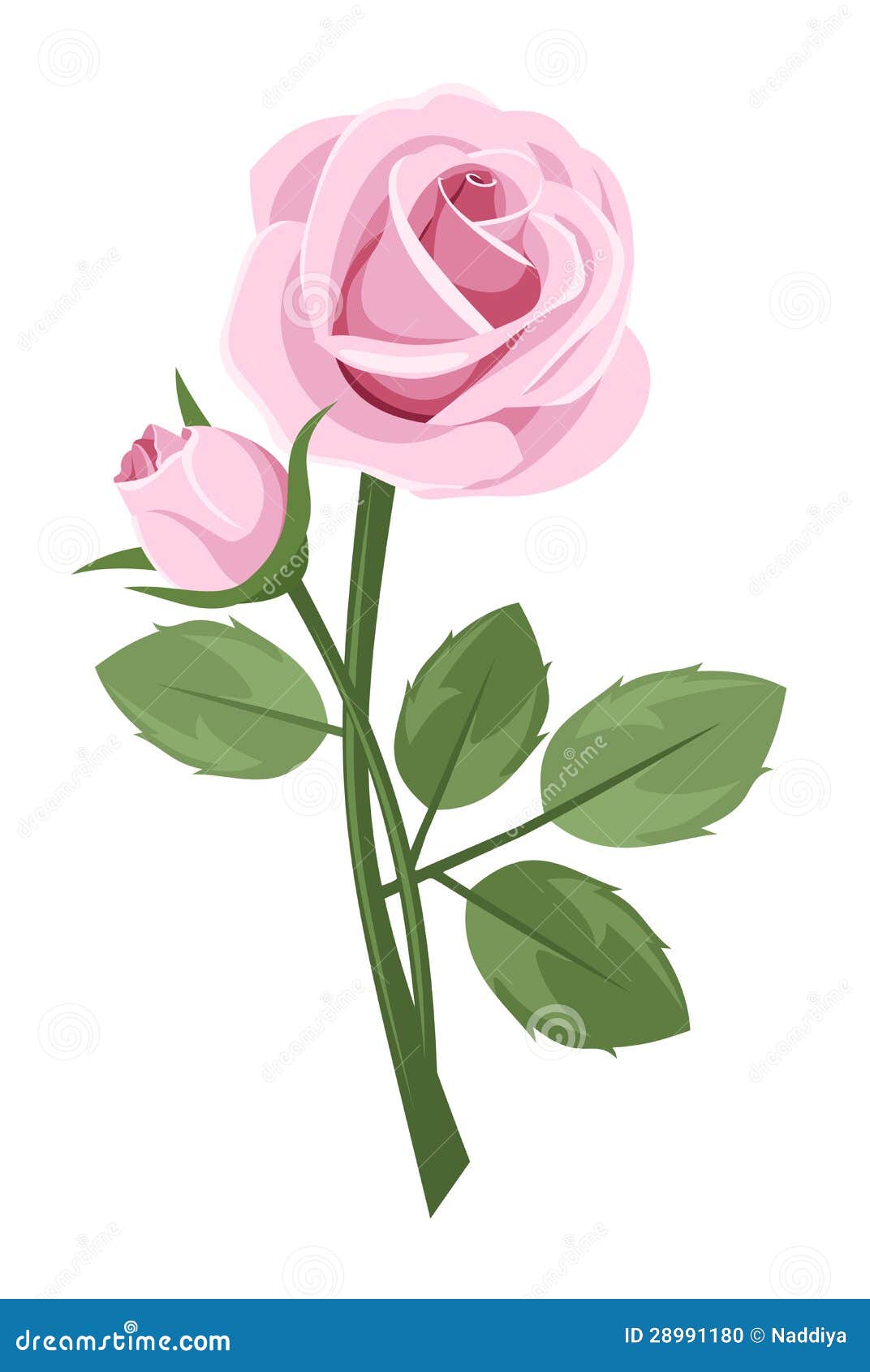 Long Stem Roses Clipart