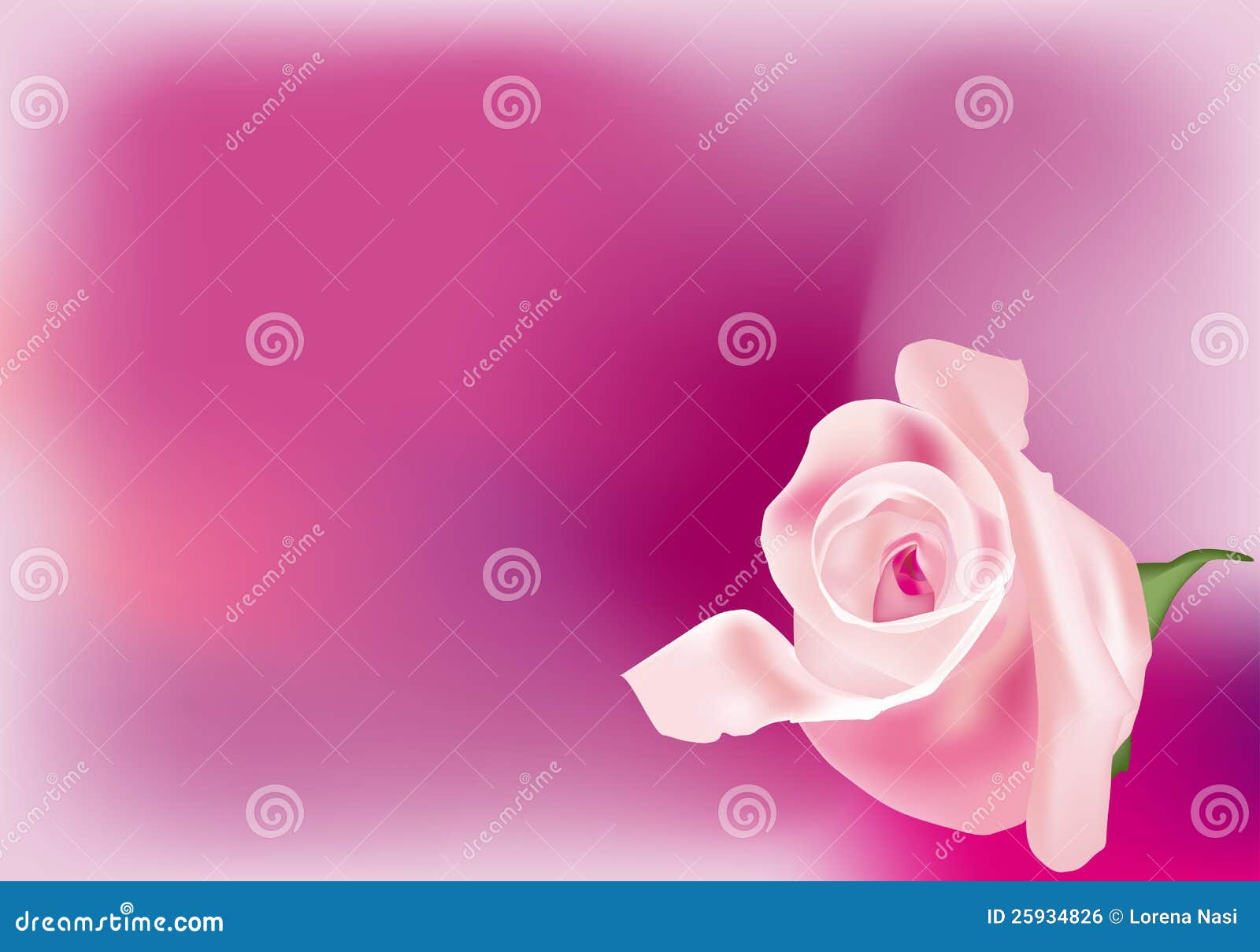 pink rosebud