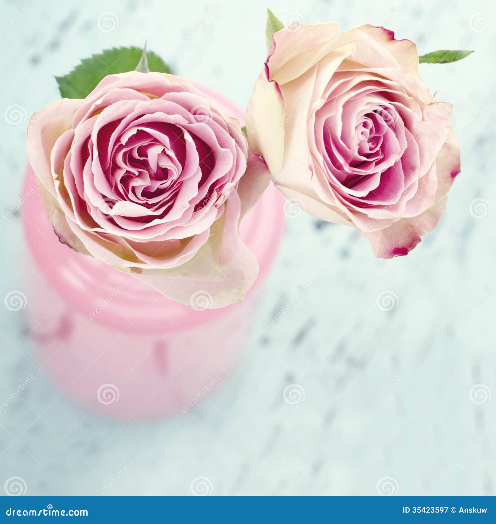https://thumbs.dreamstime.com/z/pink-roses-bottle-wooden-background-glass-light-blue-vintage-35423597.jpg