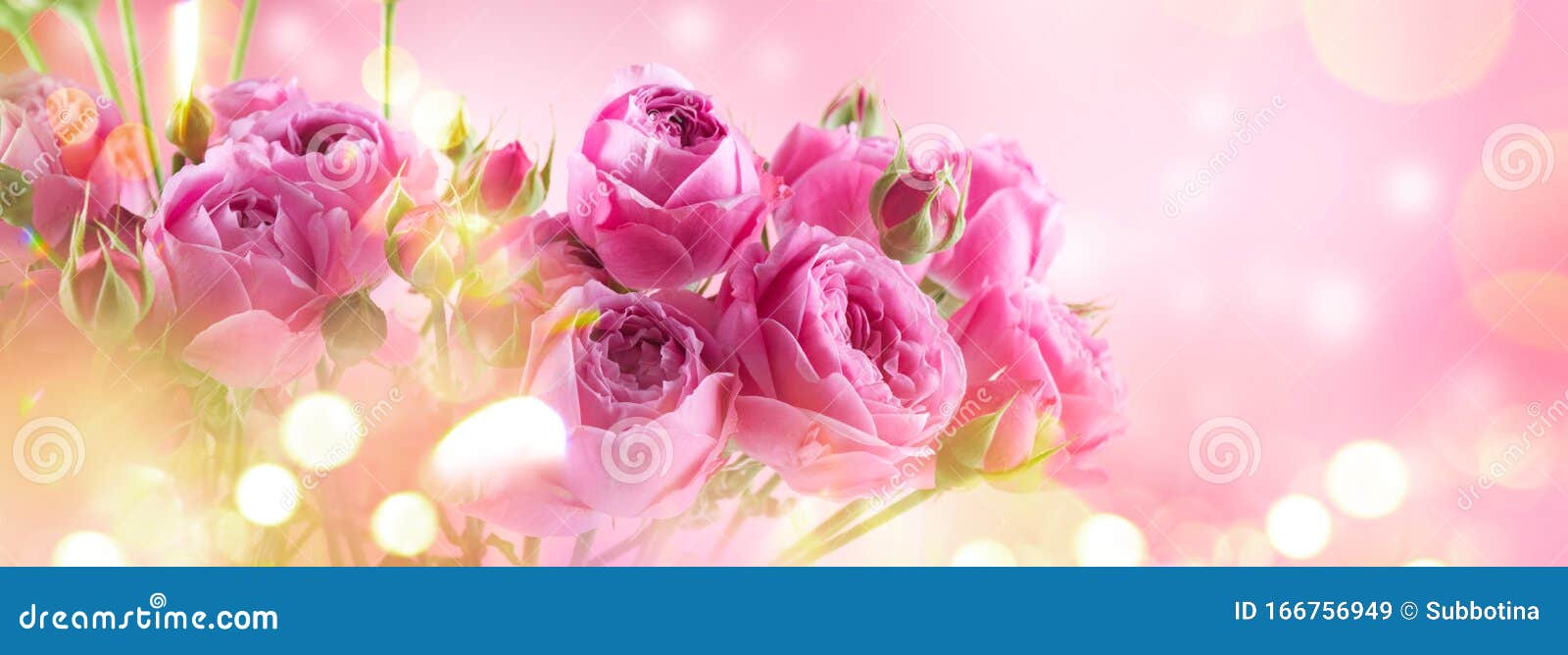501 531 Roses Photos Free Royalty Free Stock Photos From Dreamstime