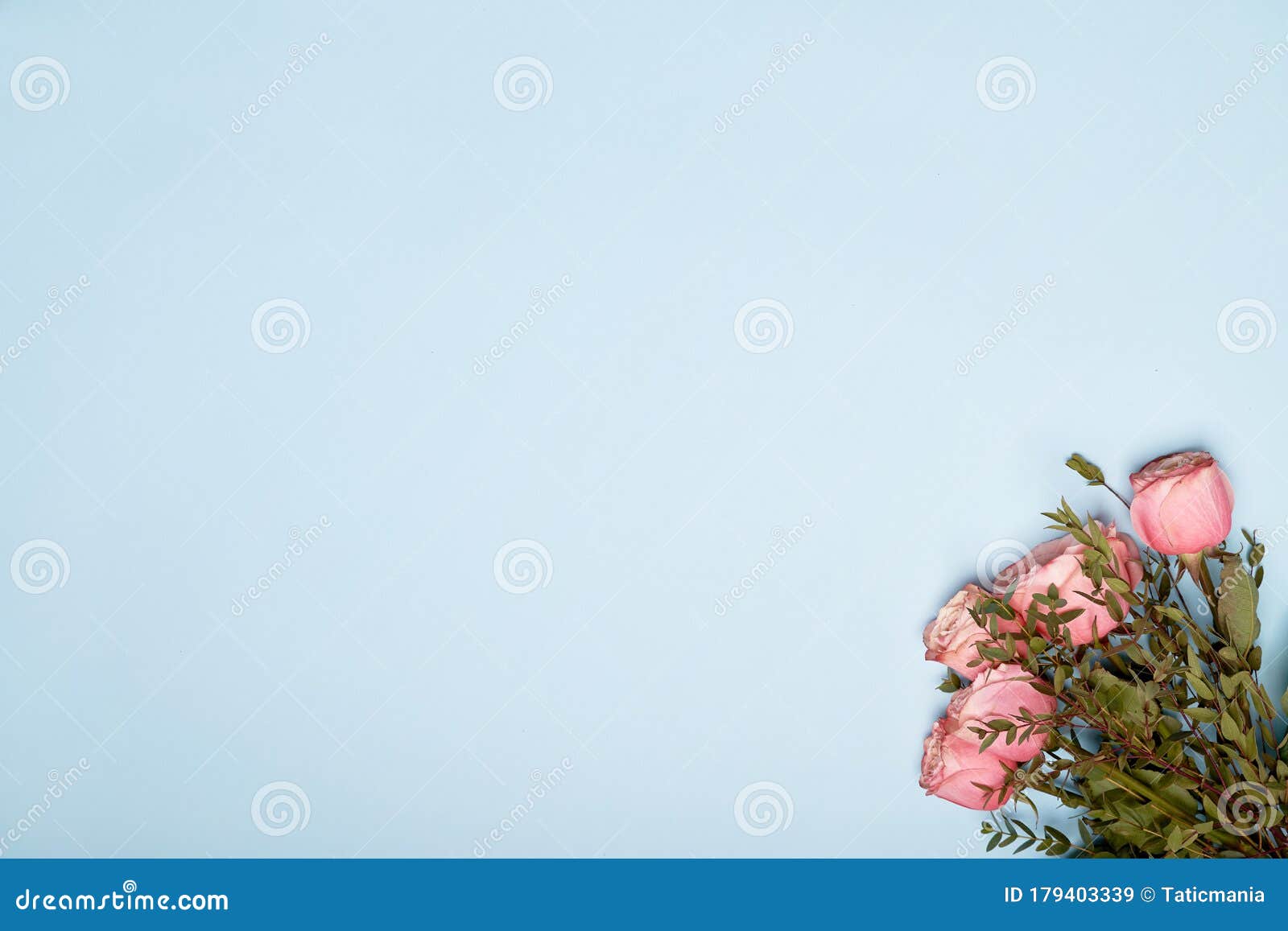 Pink Roses Bouquet on Blue Paper Background Stock Image - Image of desk ...