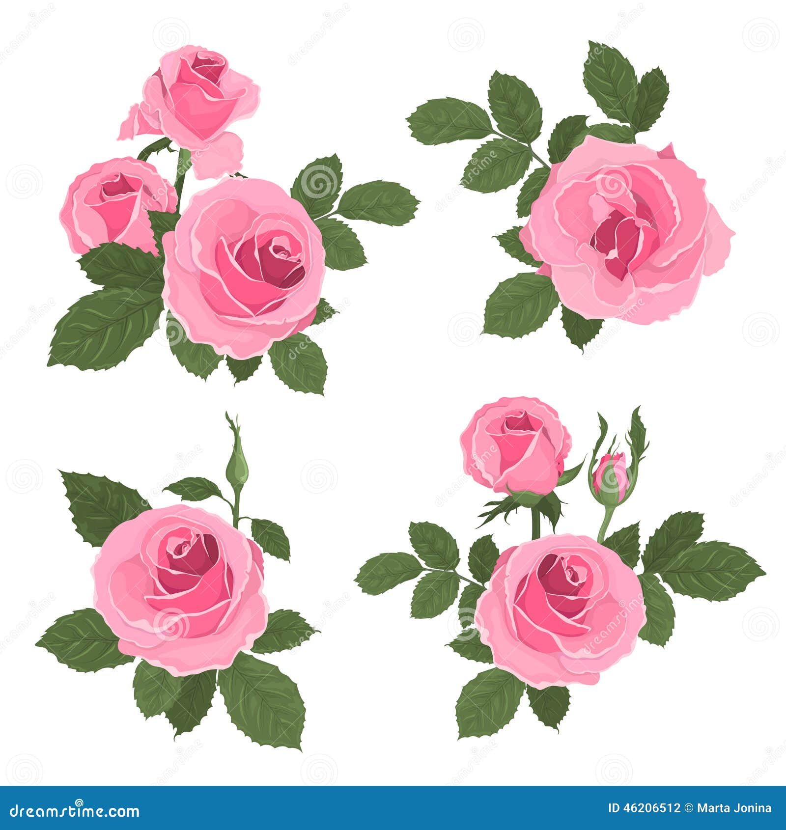 Pink Roses Bouquet with Leaves Stock Illustration - Illustration of ...