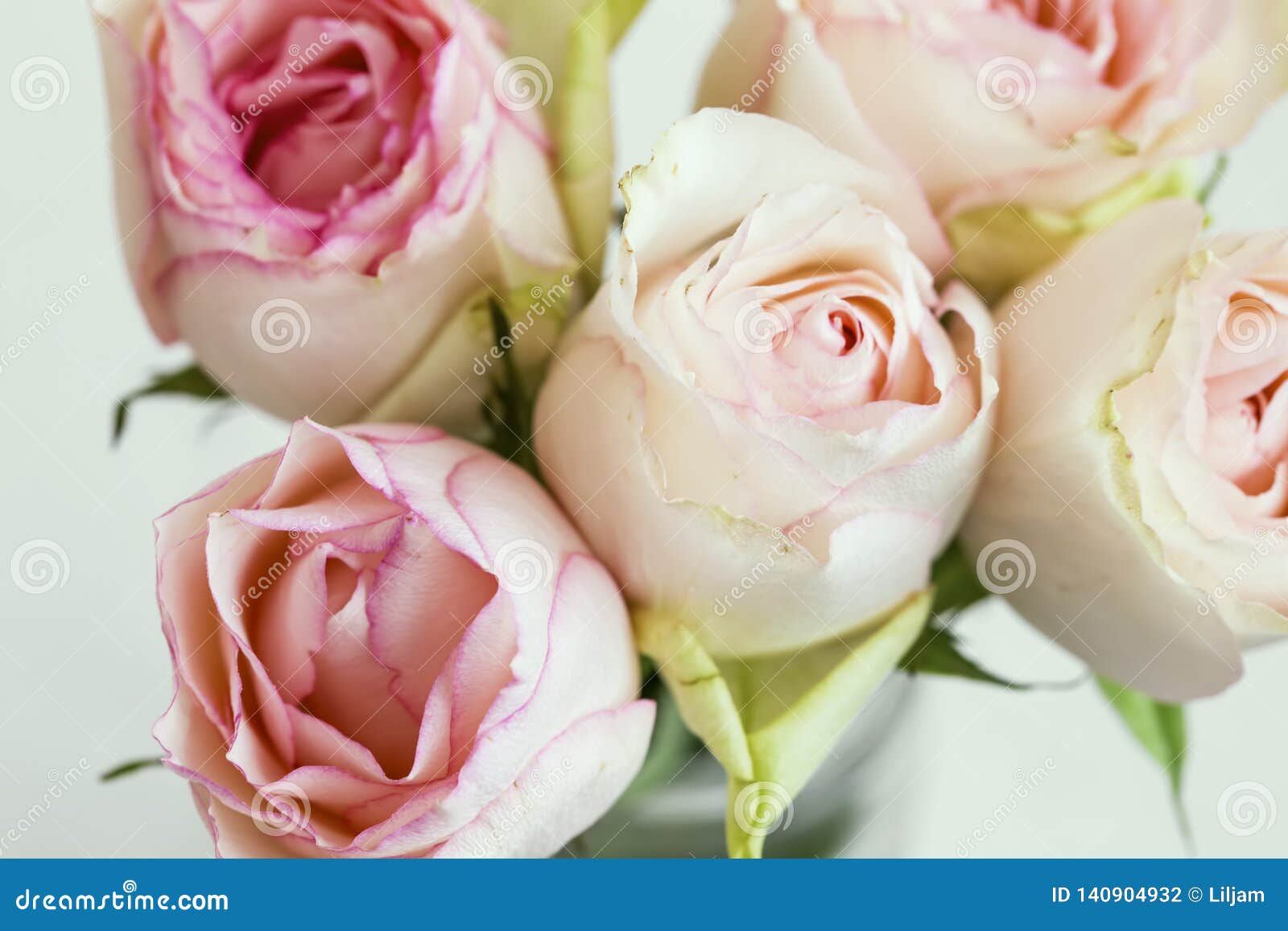 Pink Roses Bouquet, Soft Delicate Roses Closeup, Spring Roses Bouquet