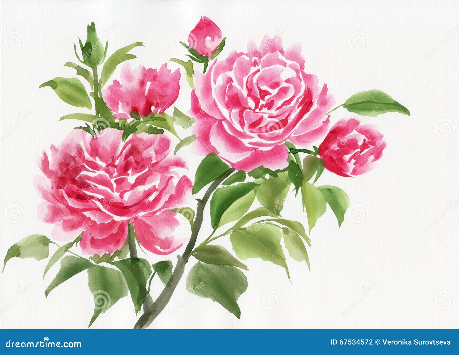 clipart rose bush - photo #30