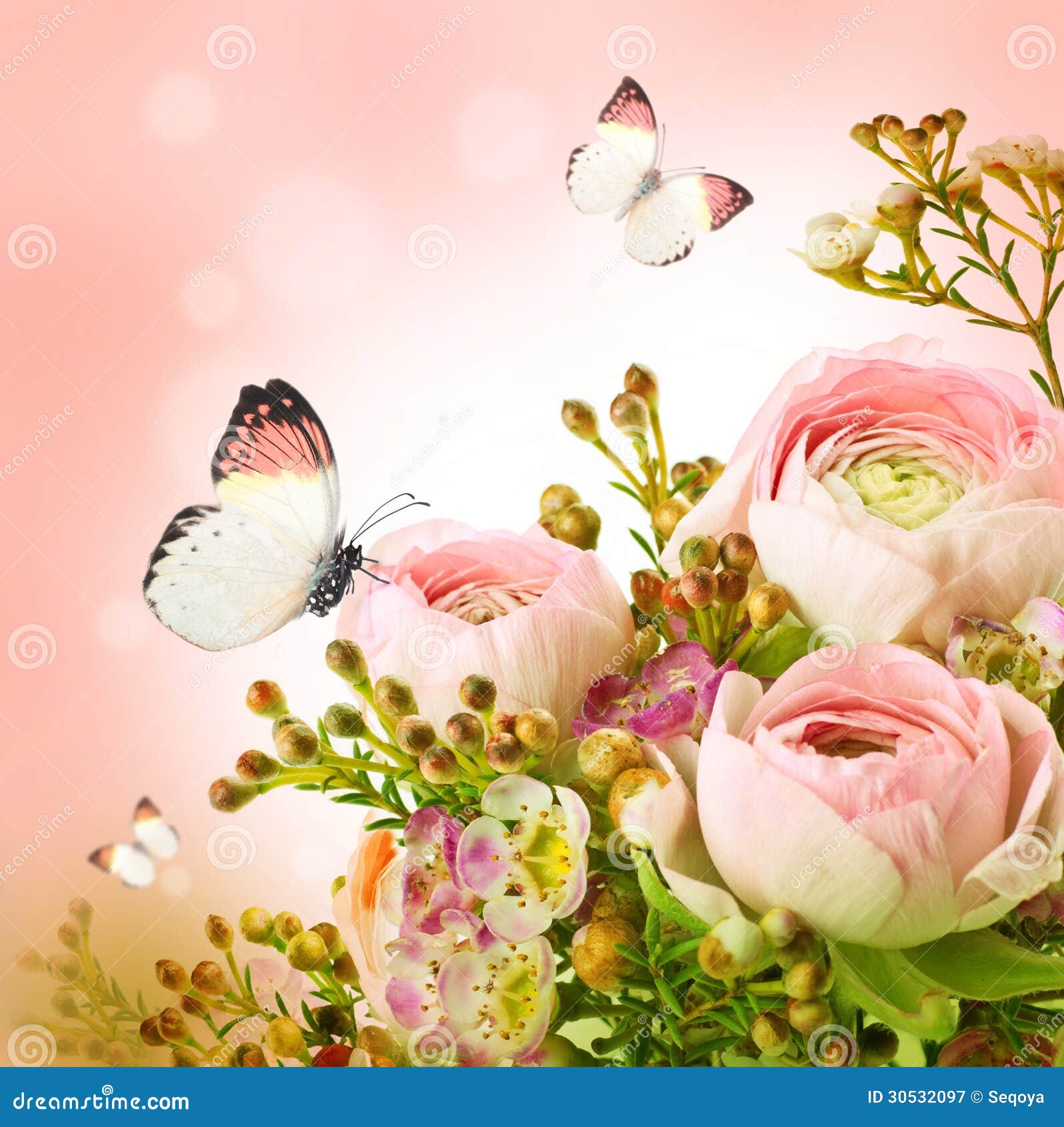 Pink roses and butterfly stock image. Image of frame 30532097