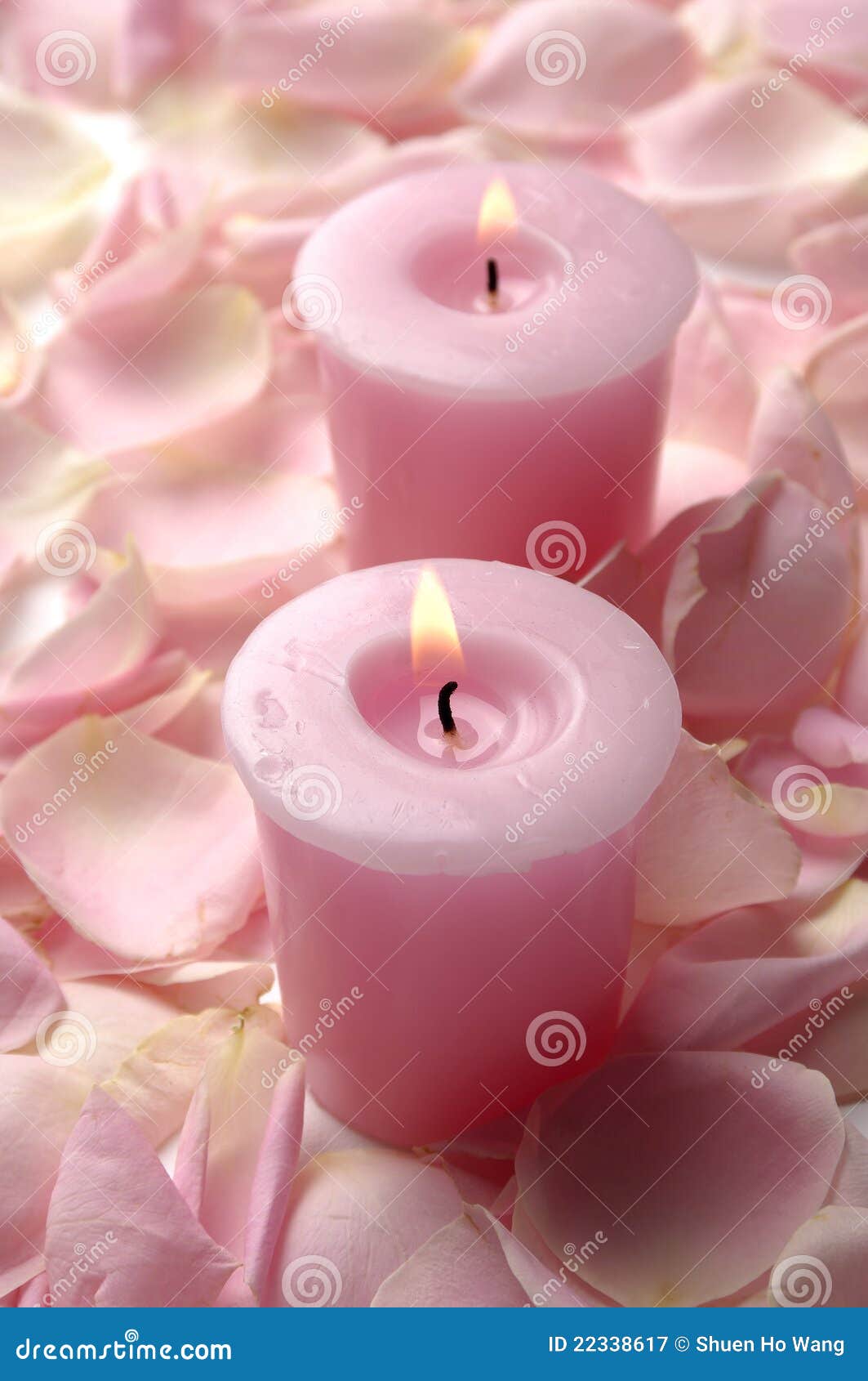 Pink roses with candle stock image. Image of candle, harmony 22338617
