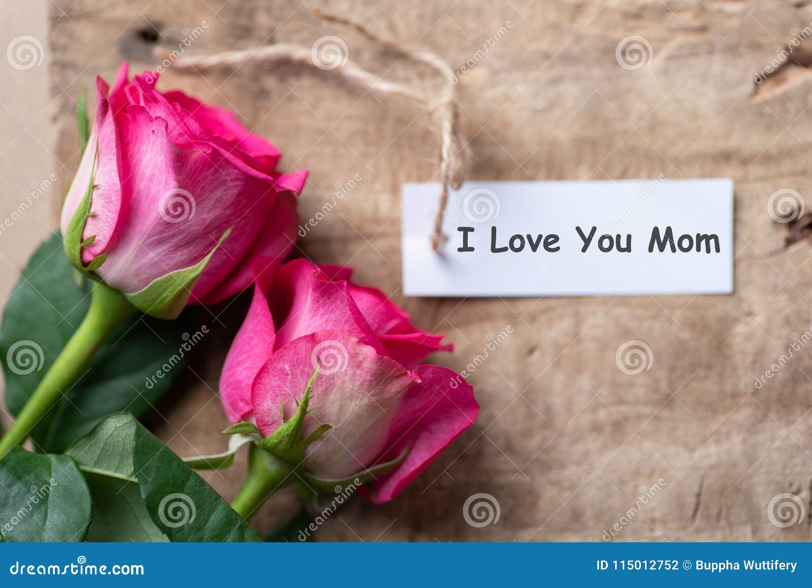 Pink Roses with I Love You Mom Tag Card Stock Photo - Image of ...