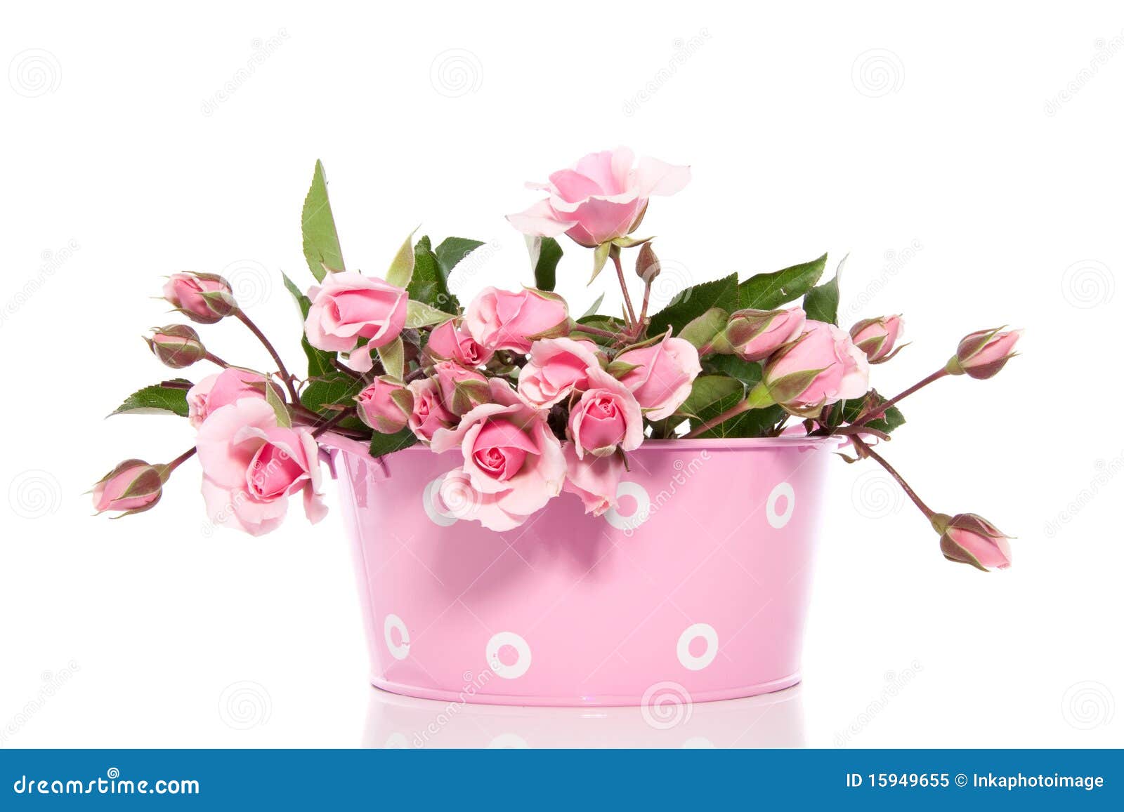 rose flower pot png
