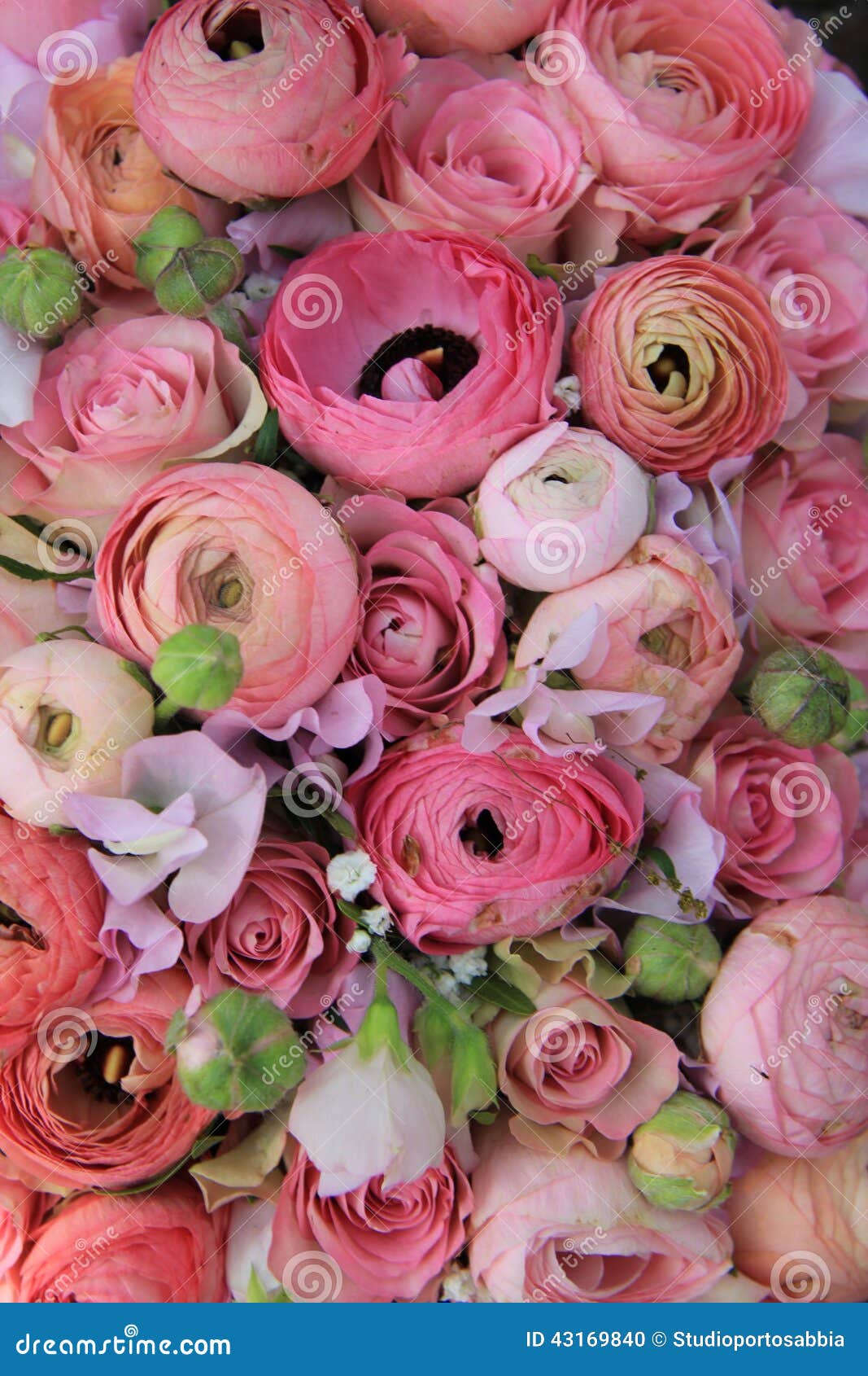 Pink Roses and Ranunculus Bridal Bouquet Stock Photo Image of nature, flora 43169840