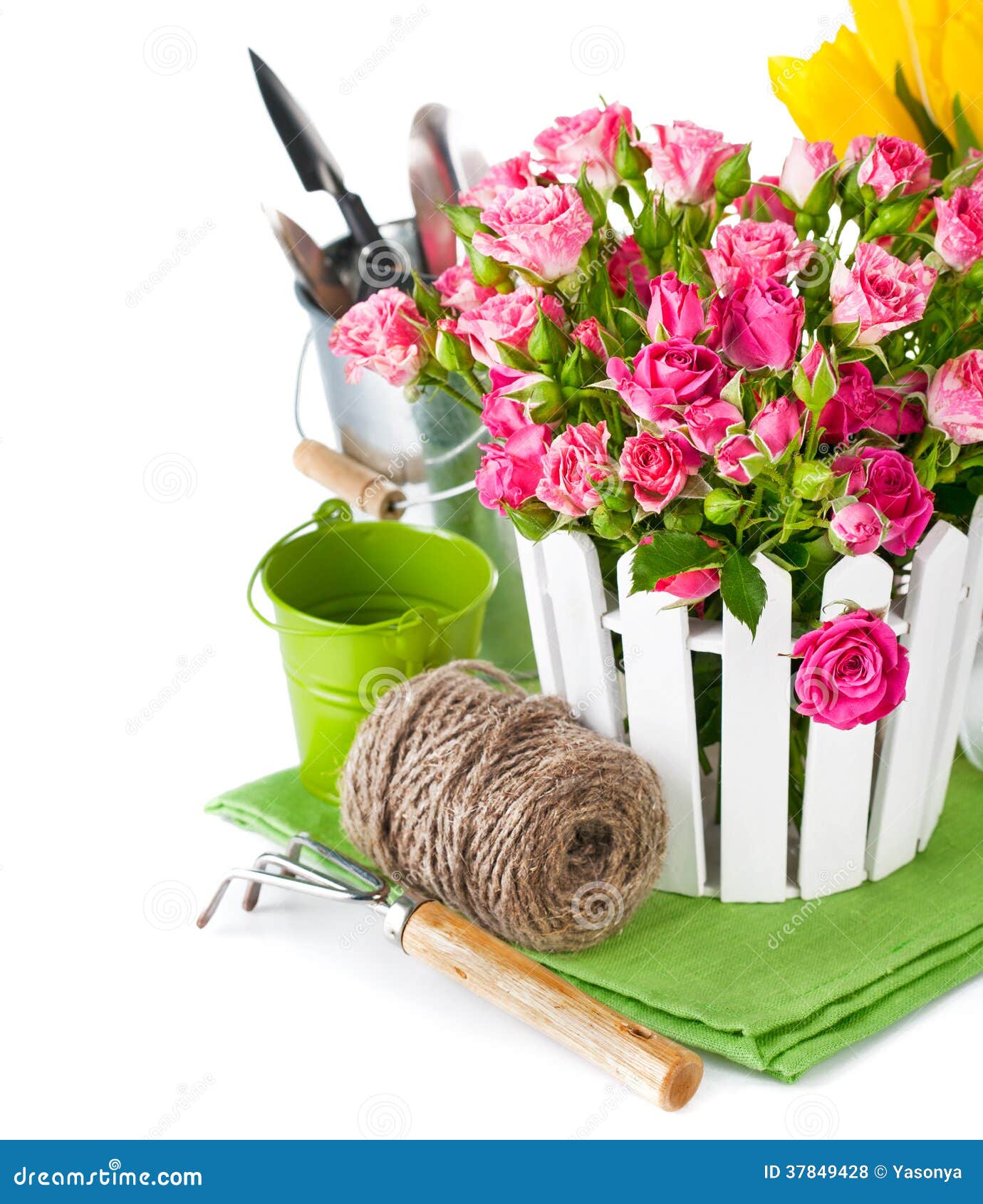 Pink Roses and Tulips with Garden Tools Stock Photo Image of