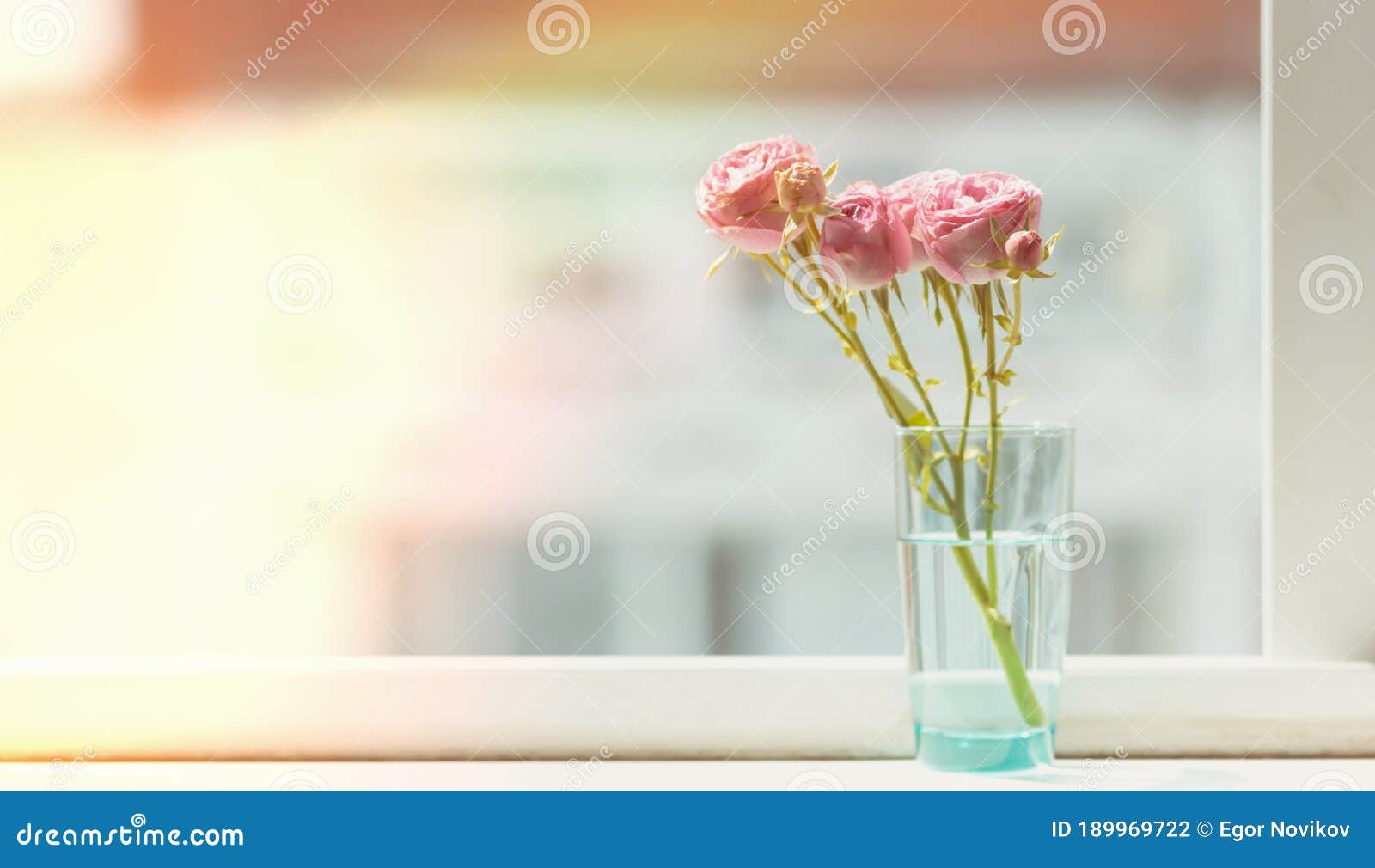 Pink Roses in a Vase on the Windowsill, with Sunshine Stock Photo Image of germany, bavaria