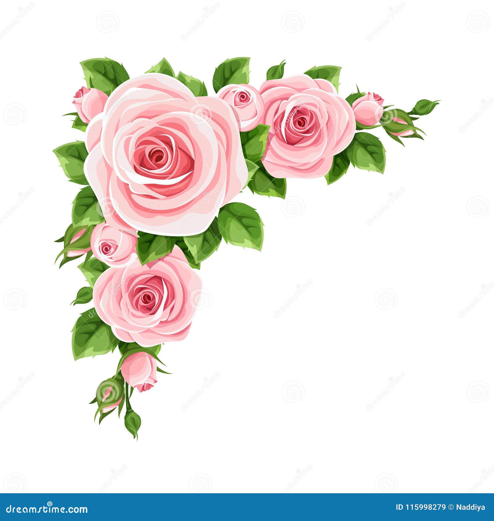 Rosas rosadas.  Fondo de la esquina del vector.  Foto de archivo - Ilustración de rosas, esquina: 115998279