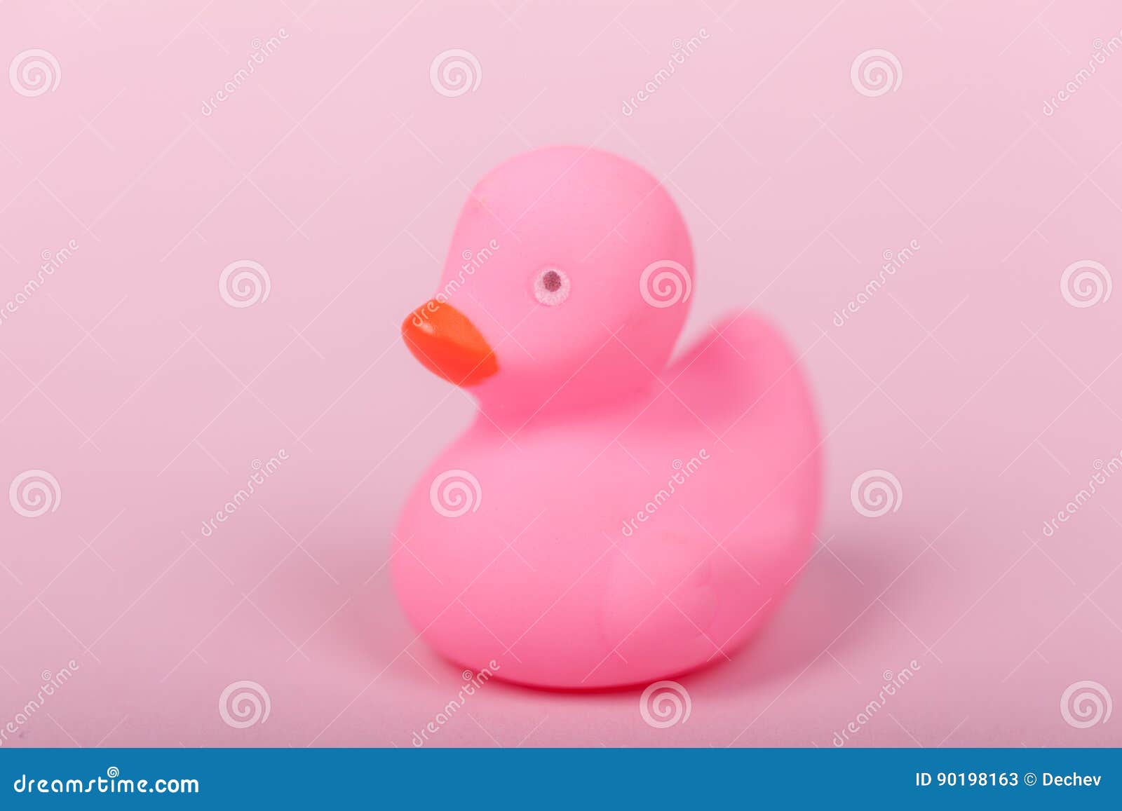 Pink Rubber Duck on Pink Background Stock Image Image of clean