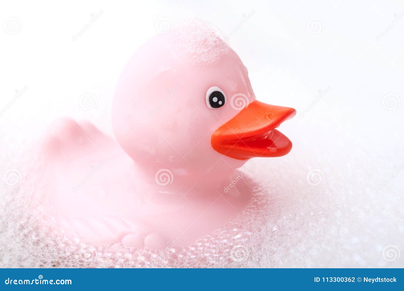 Pink Rubber Duck Toy with Moss in Bath Stock Photo Image of ducky
