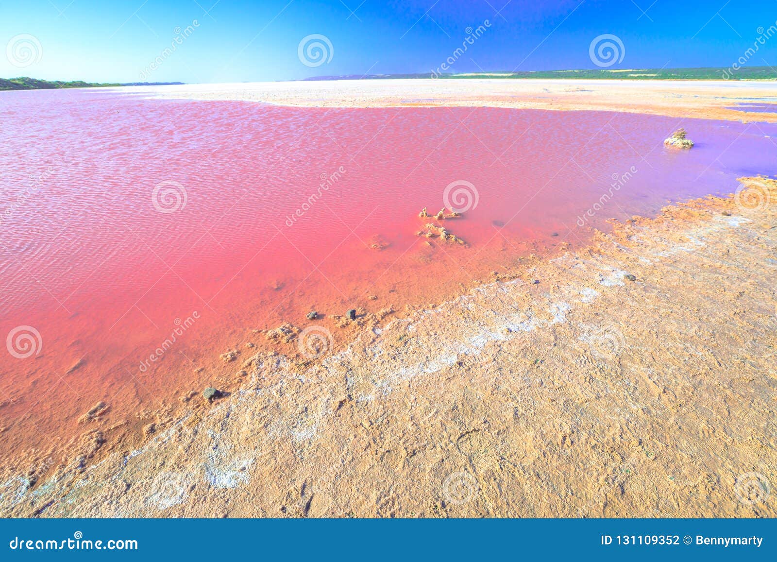 pink salt lake australia