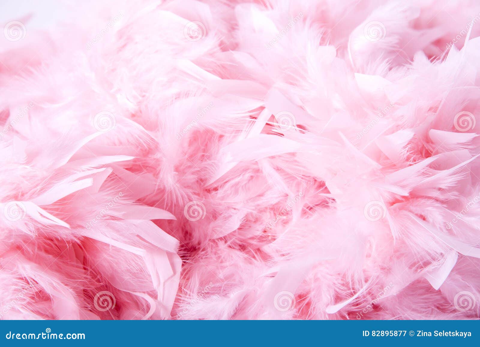Pink Soft Feathers Background Stock Image Image of luxury, background