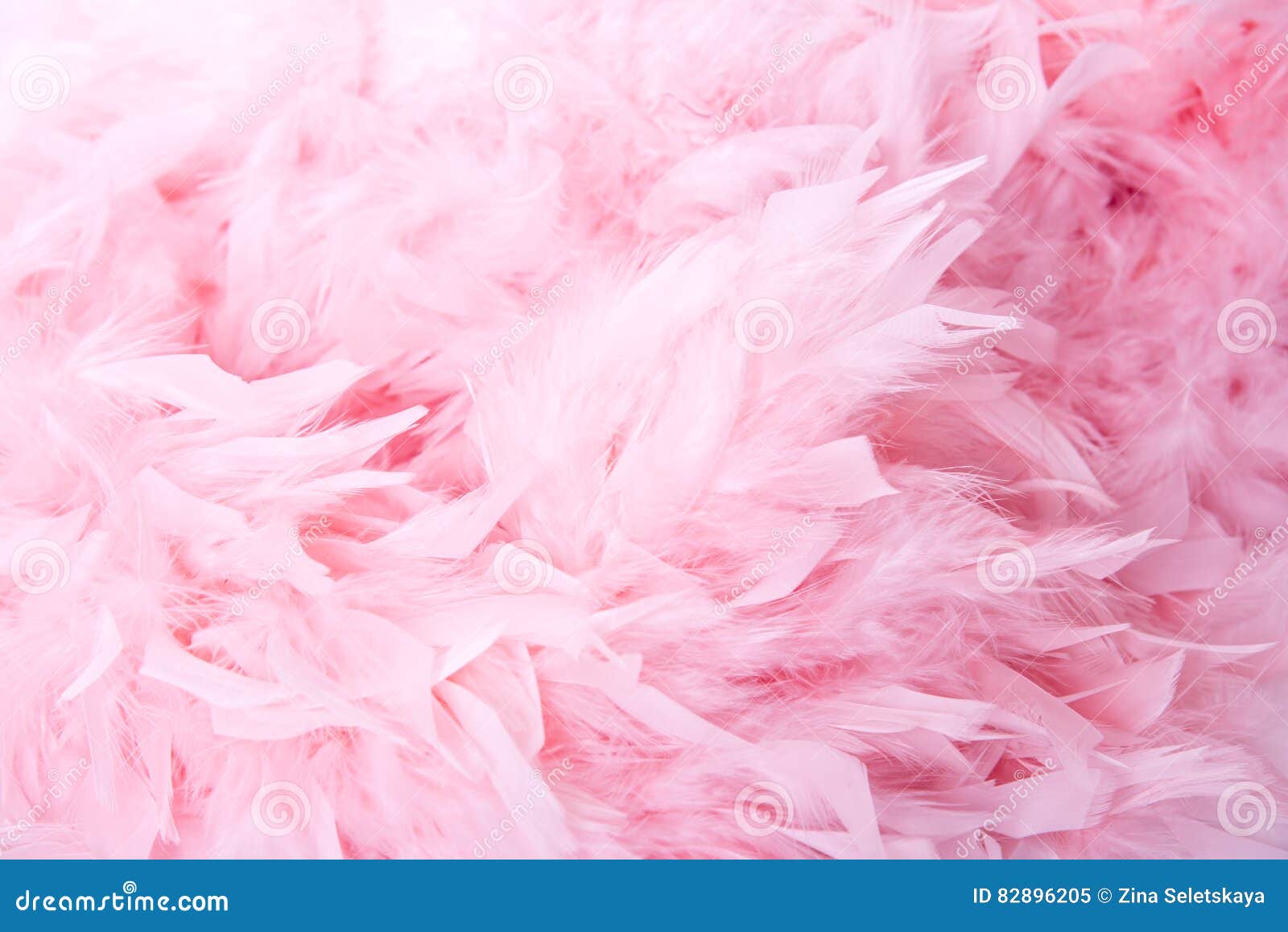 Soft Pink Feathers Texture Background. Stock Photo, Picture and