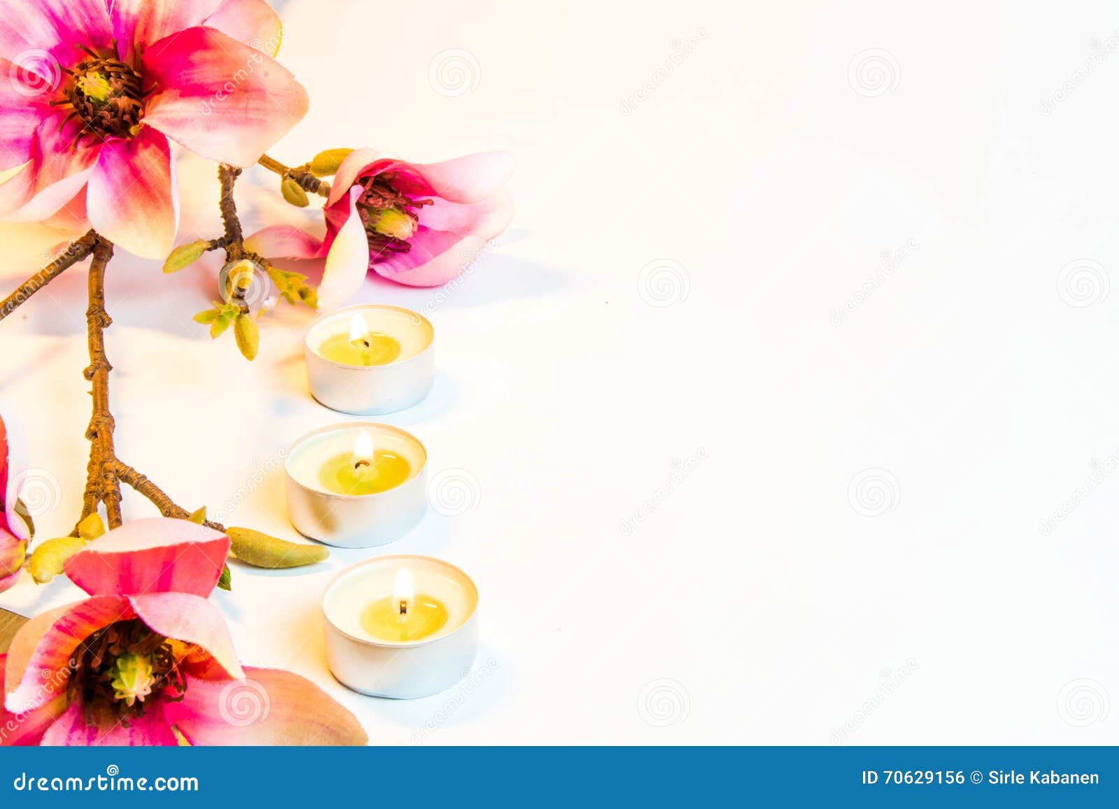 Pink Spa Flower Background Frame Stock Photo - Image of pink, tropical:  70629156