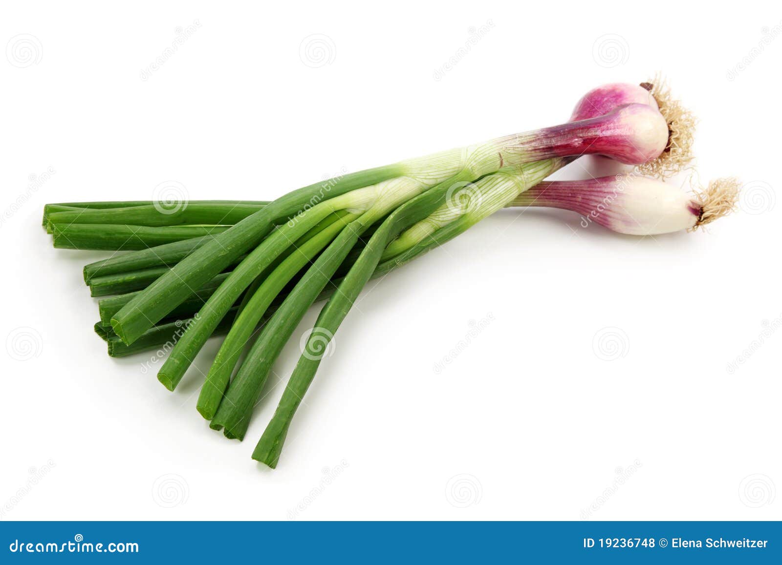 Pink spring onions stock photo. Image of white, vegetable 19236748