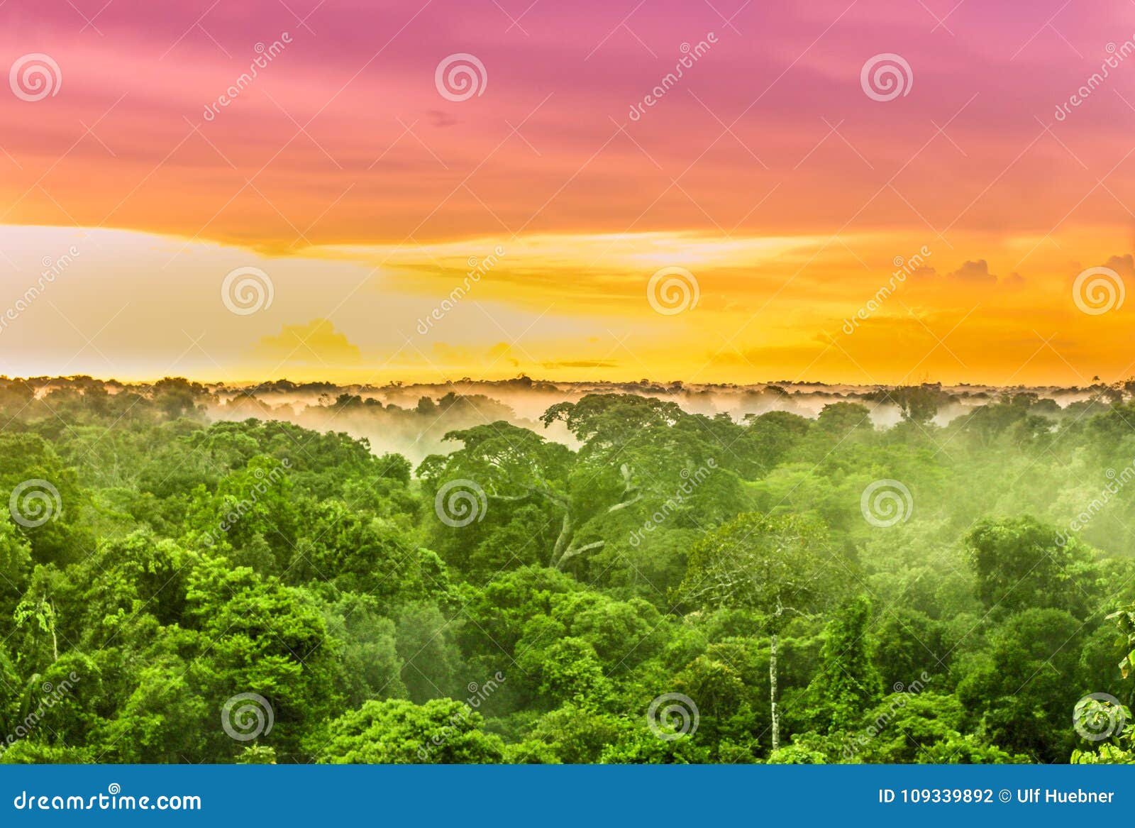 pink sunset over the amazon rain forest in brazil
