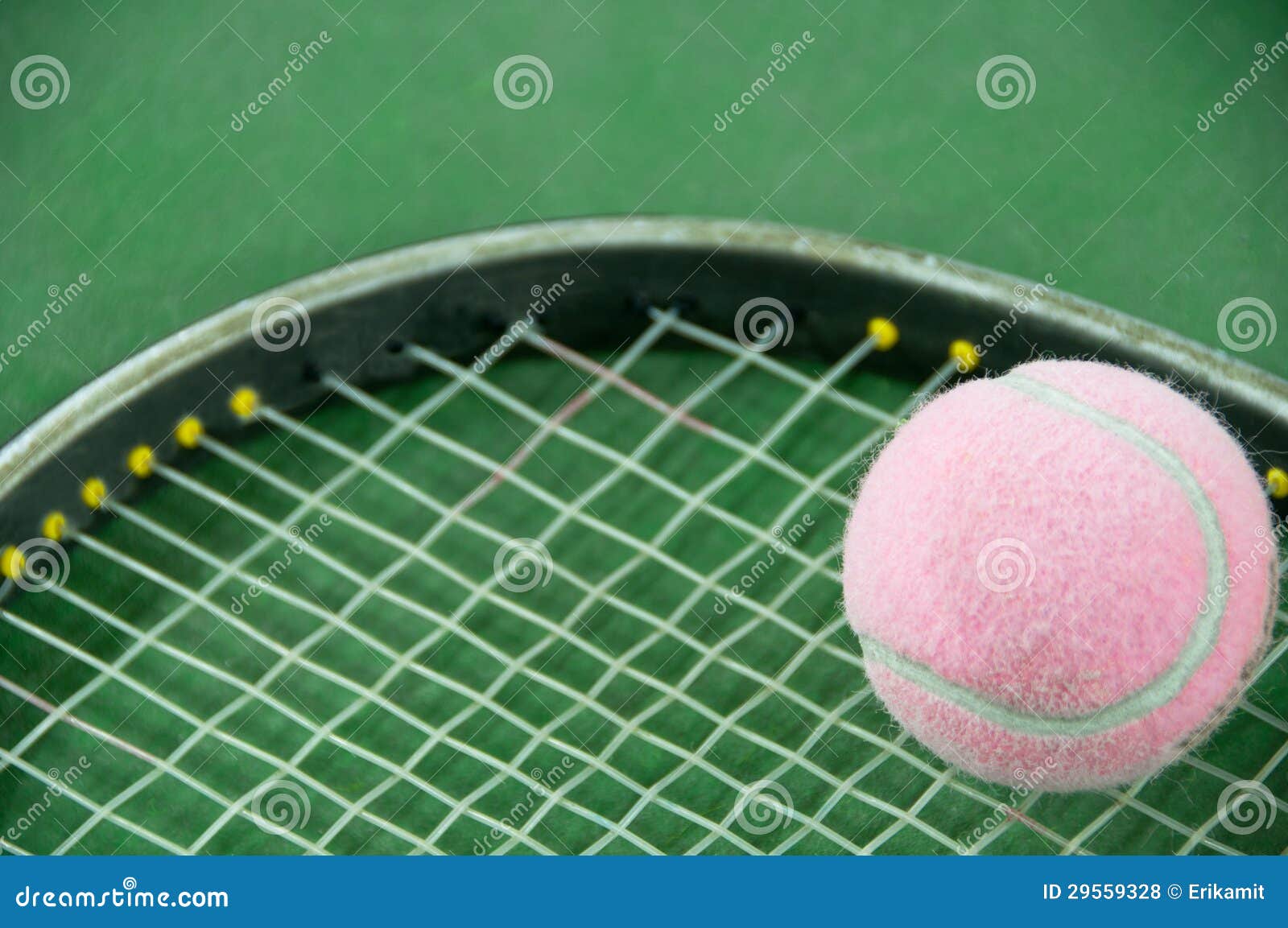 Pink Tennis Ball on a Racket Stock Photo Image of tennis, court 29559328