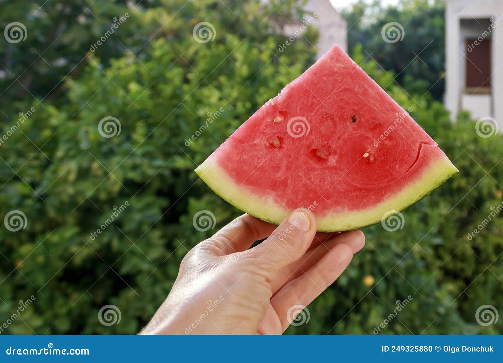 triangle watermelon slice in hand