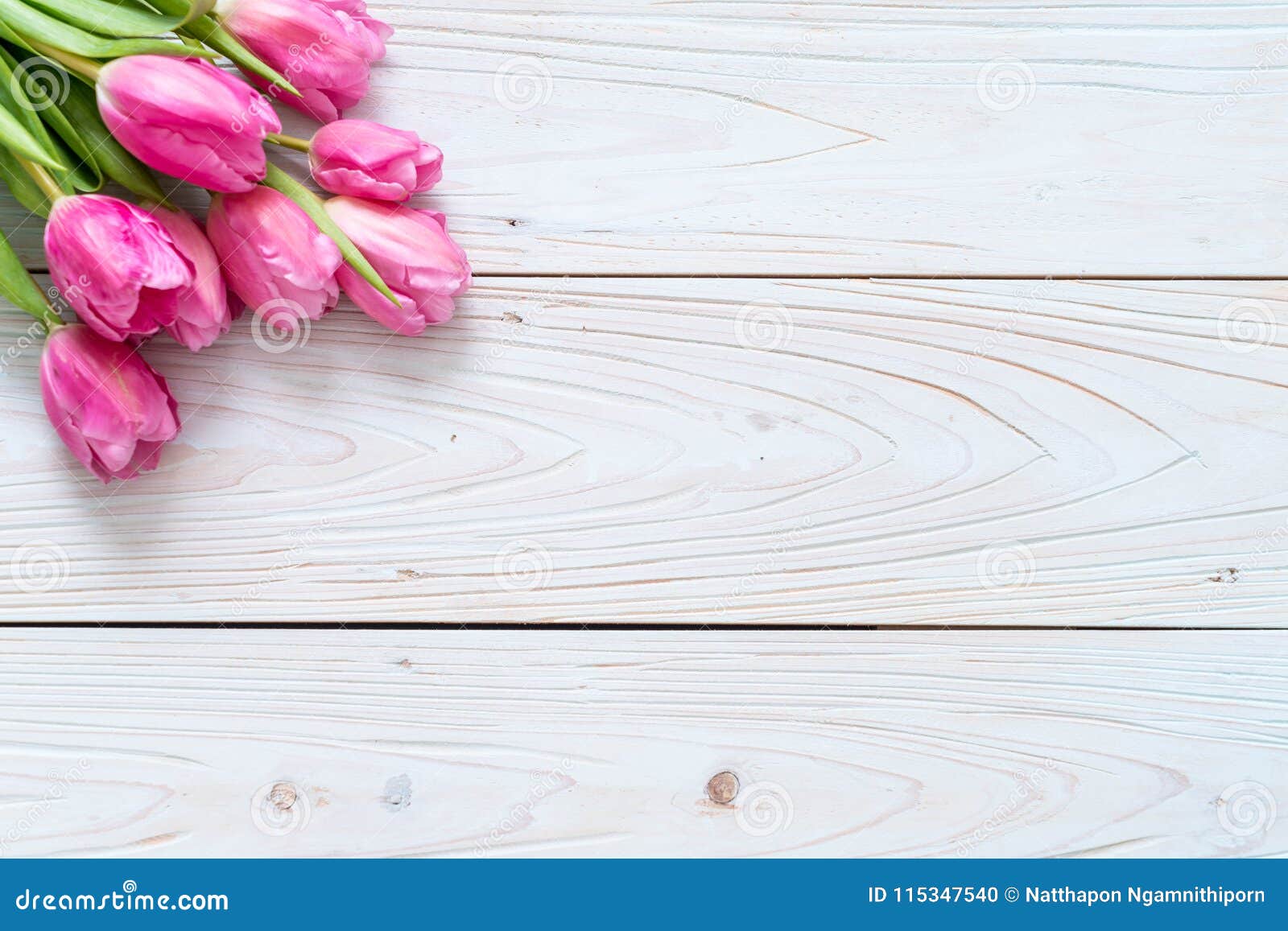 Pink Tulip Flower on Wood Background Stock Photo - Image of love, easter:  115347540